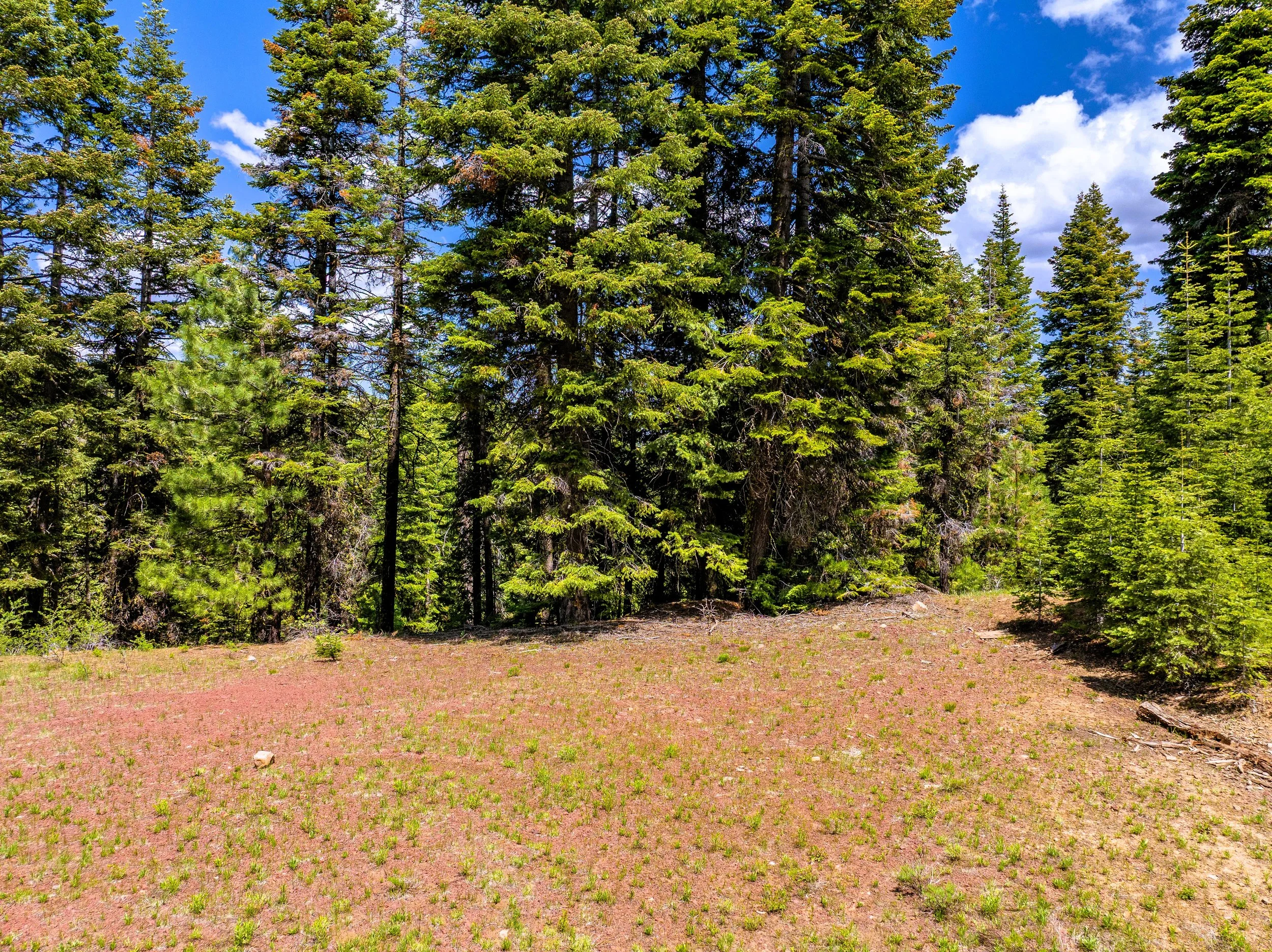 $ 3,950. 1.440 Acres. Lot 83 Tule Ln. Available For $ 99 Down And $ 77.53 A Month