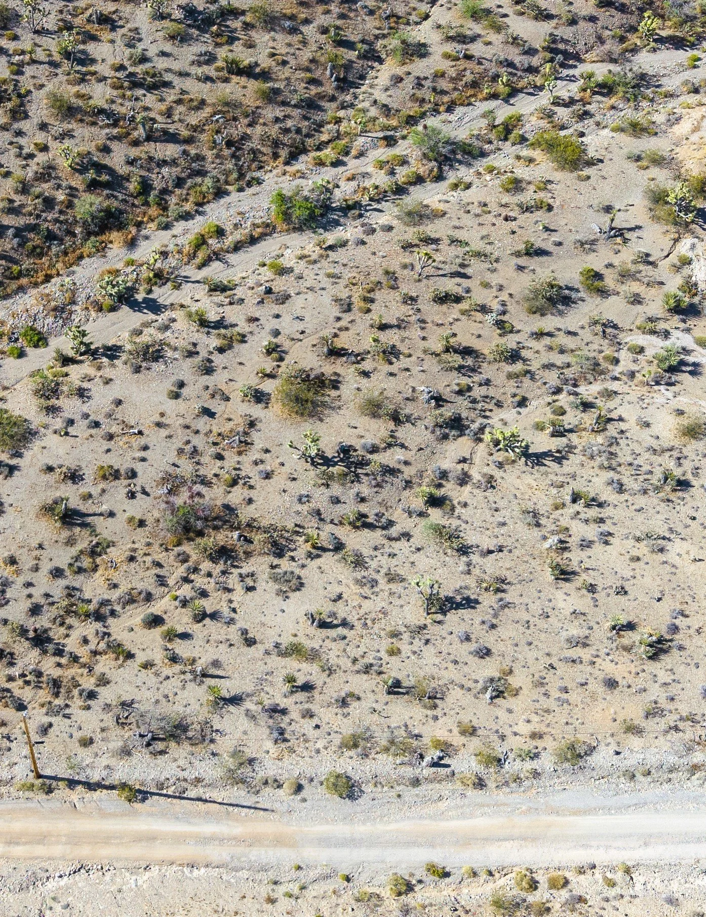 343-07-220 4.jpg