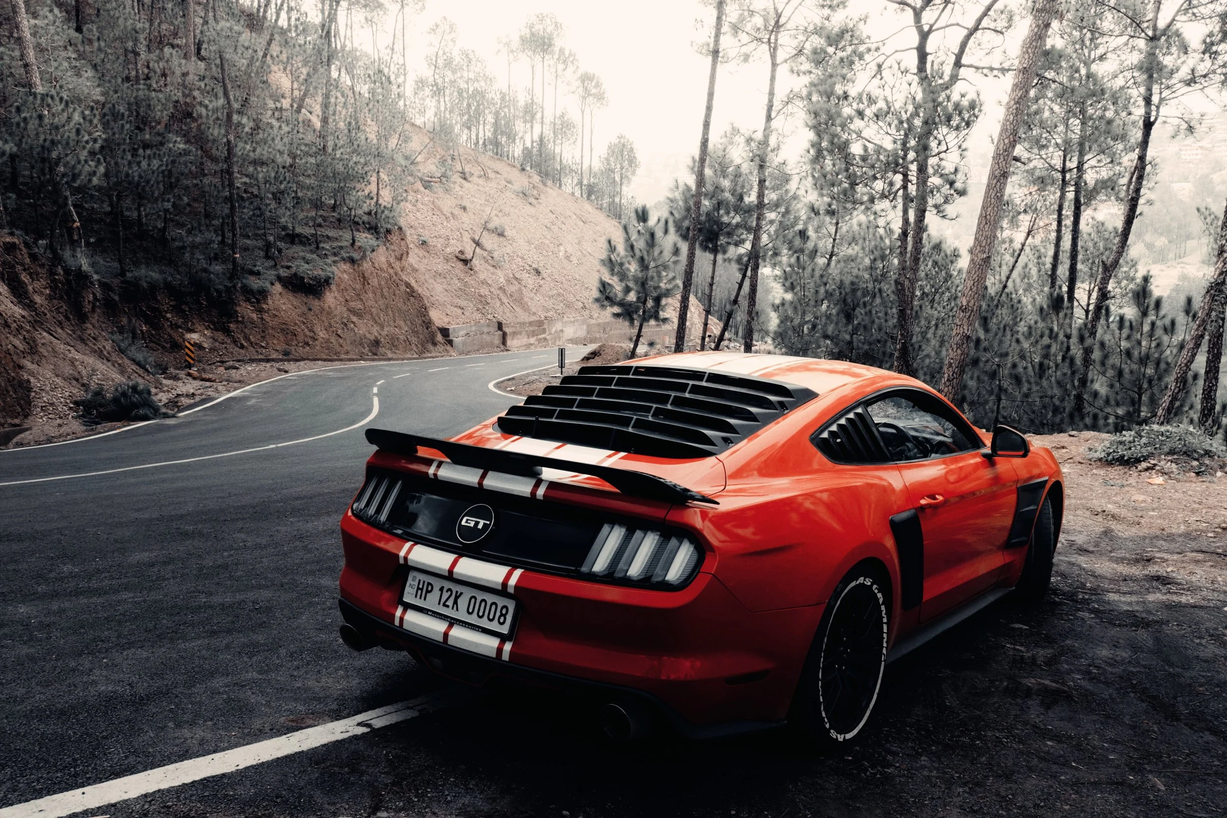 mustang.jpg