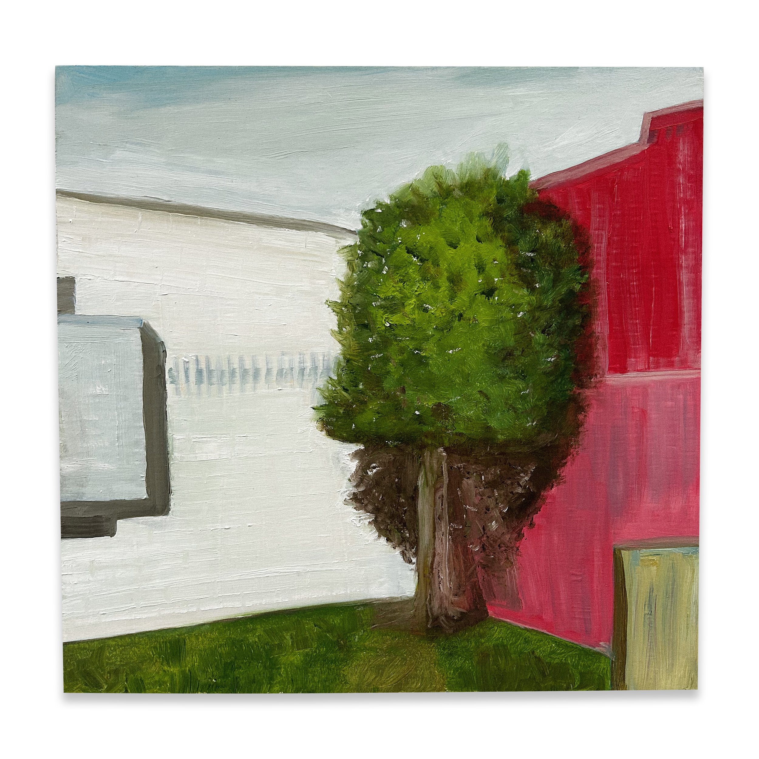 Courtyard Tree