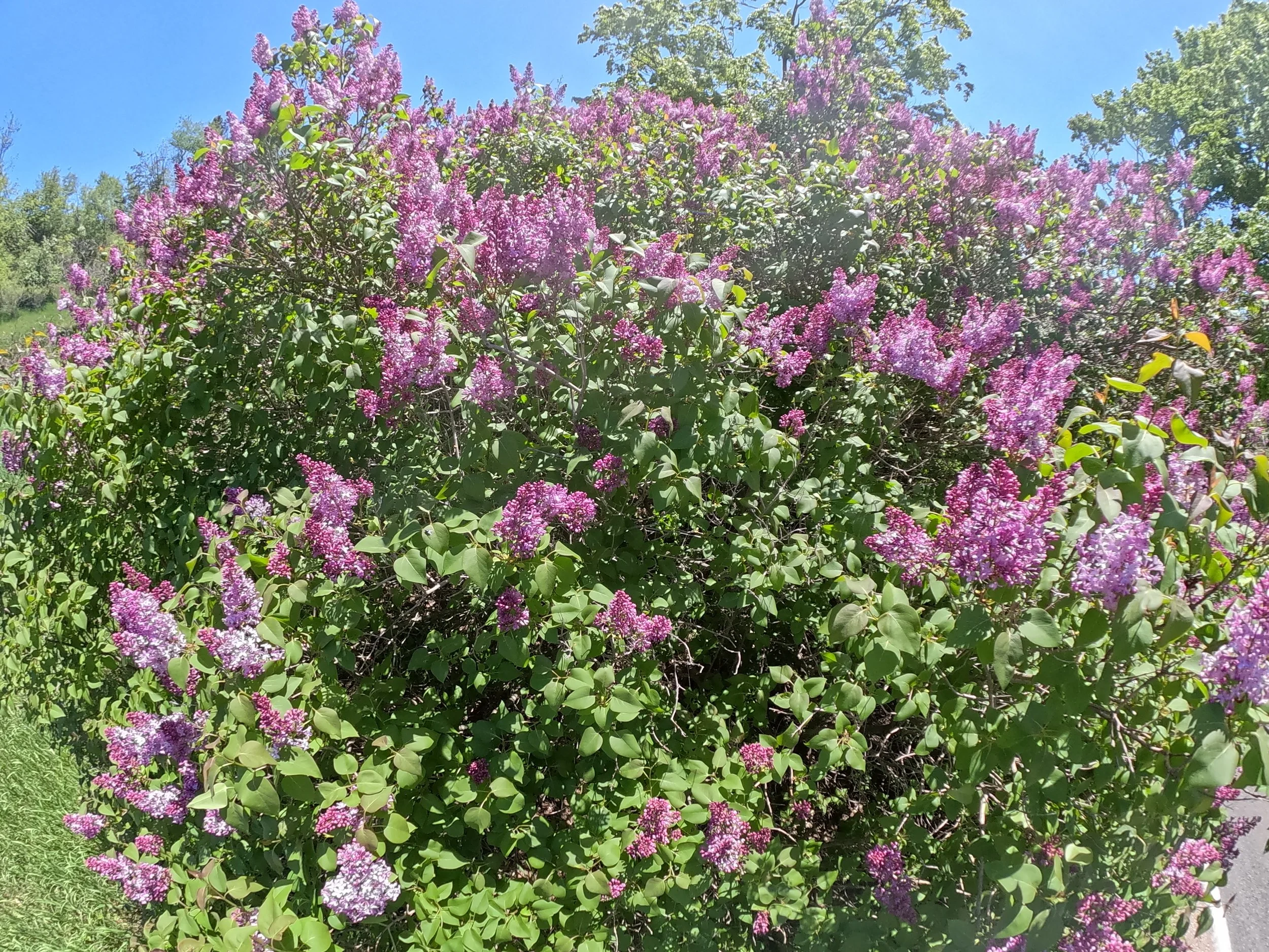 GP010215.JPG