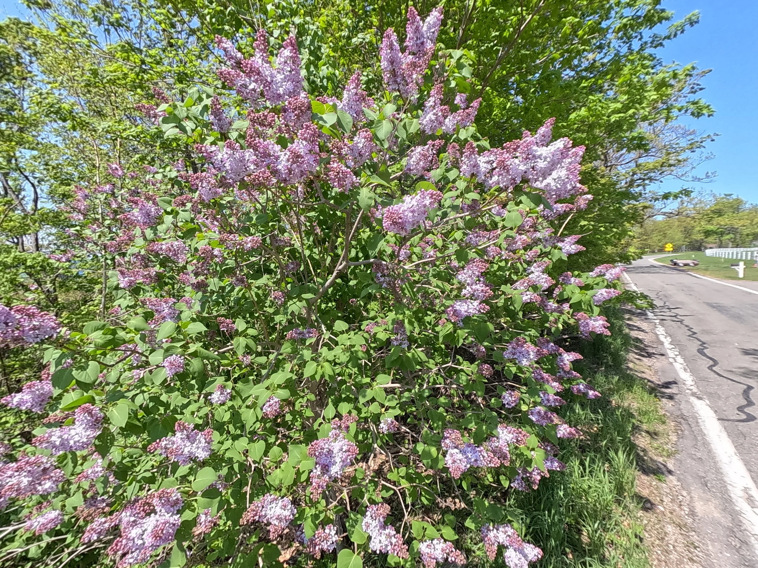 GP010188.JPG