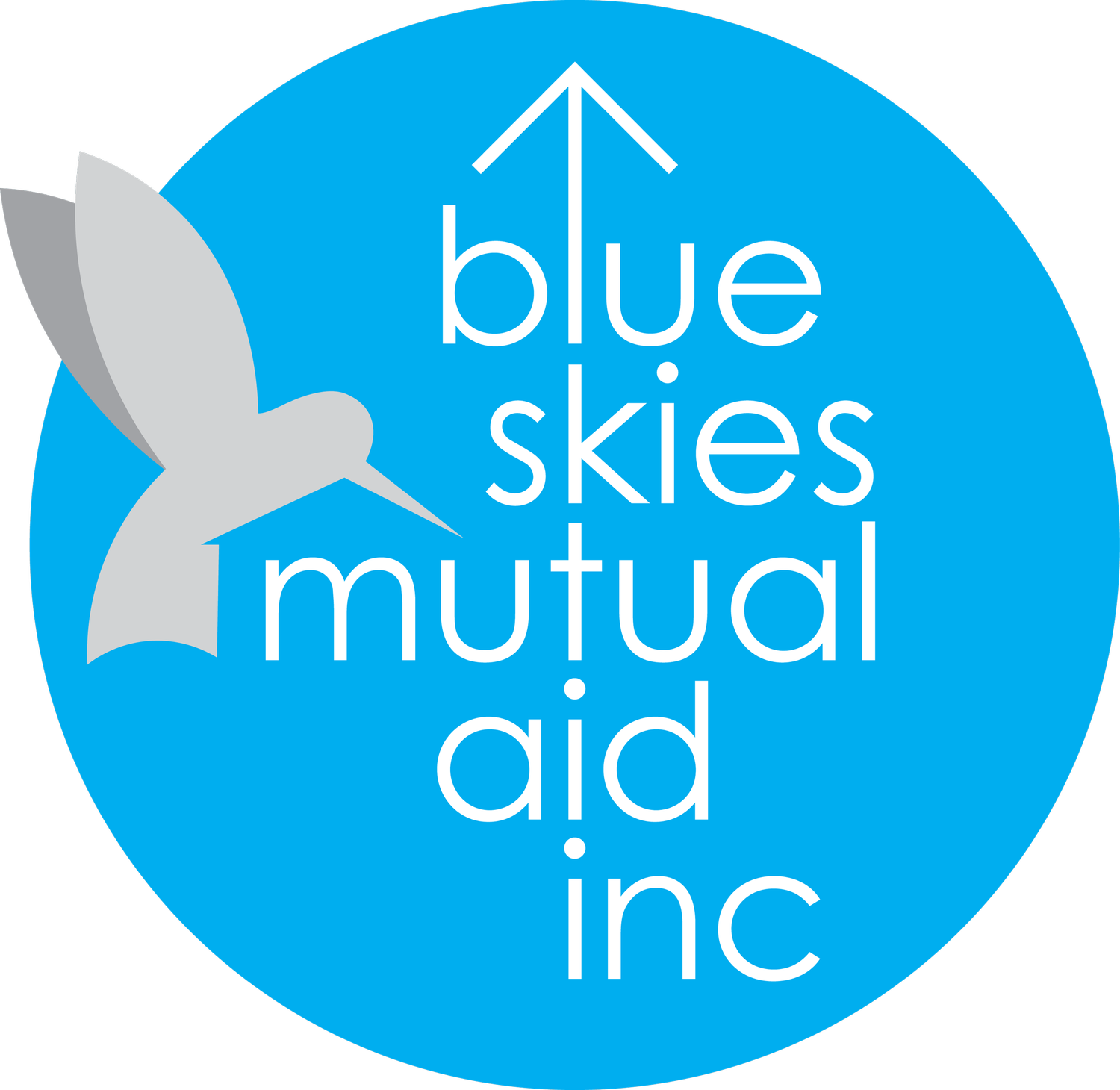Blue Skies Mutual Aid, Inc
