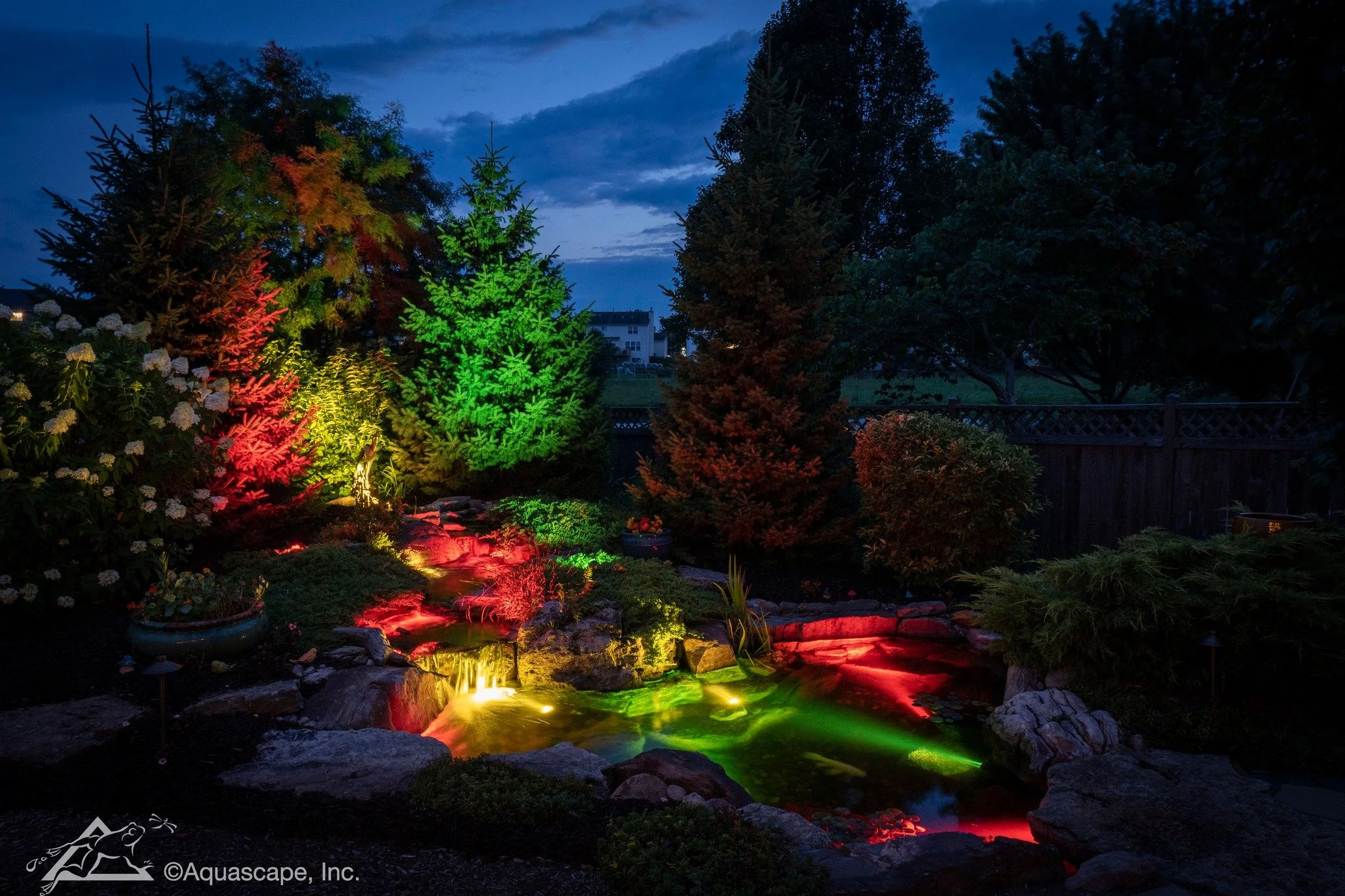 When the sun sets, your backyard becomes a private light show.

This custom ecosystem pond features a gentle waterfall, natural boulders for seating, and towering pines illuminated in rich red, green, and golden light. The colors reflect across the w