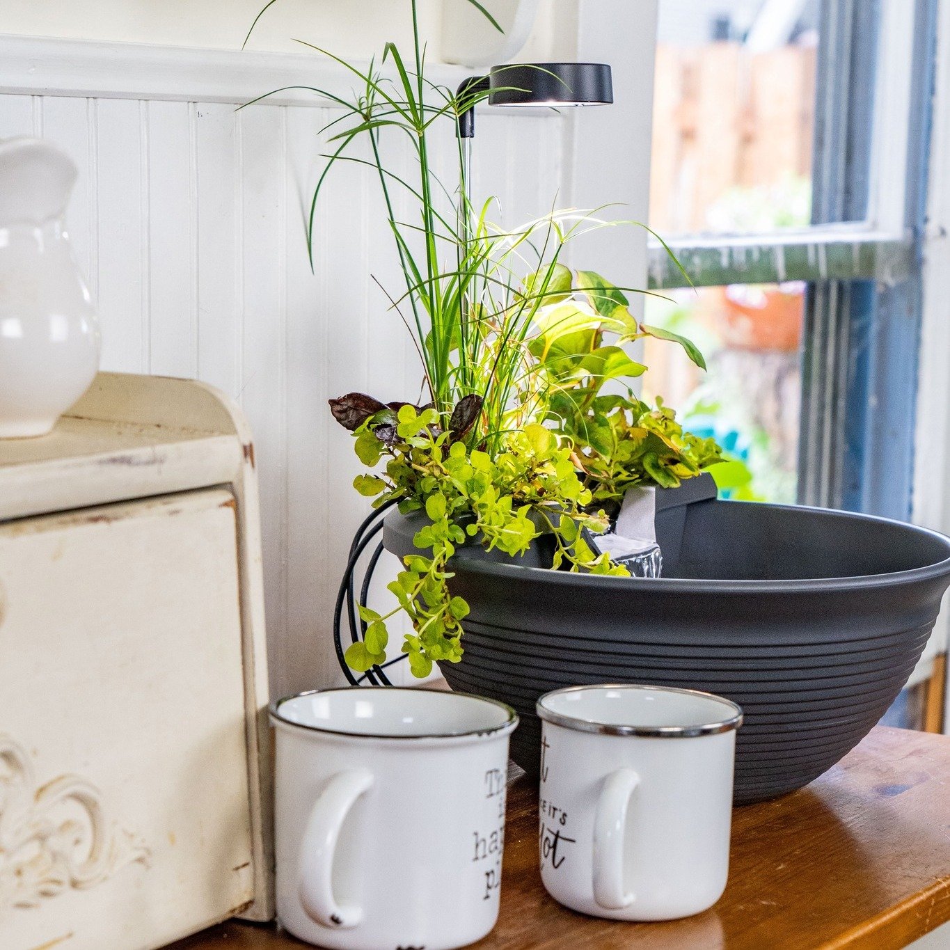 Happy St Patrick's Day!

Bring some green into your life with these DESKTOP mini ponds!!

Yes you heard that right - this is nature's sound machine right here on your table, in your cubicle, next to your desk, this little pond can do it all!