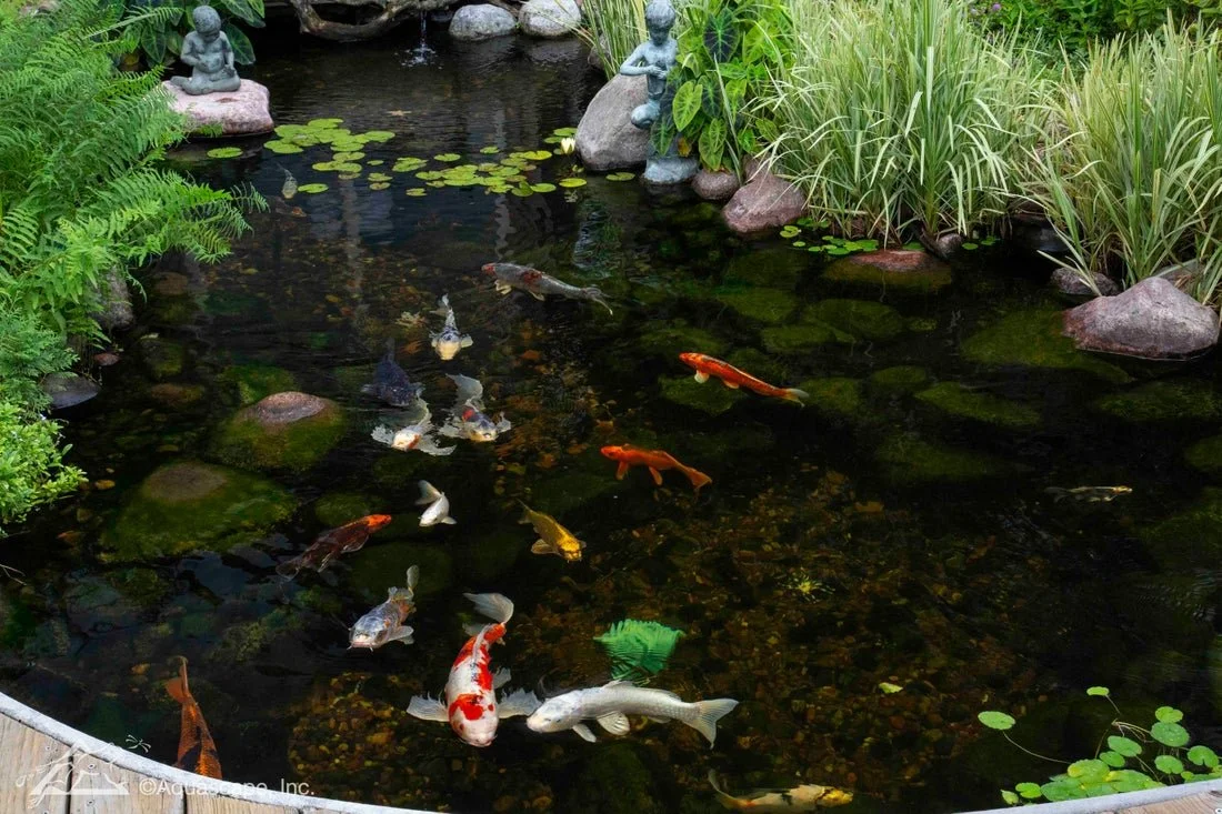 A custom koi pond gives you a quiet place to slow down, breathe, and enjoy the beauty right outside your door.

You can sip coffee by the water in the morning.
Roll out a yoga mat beside the sound of a small waterfall.
Sit with your family and feed t