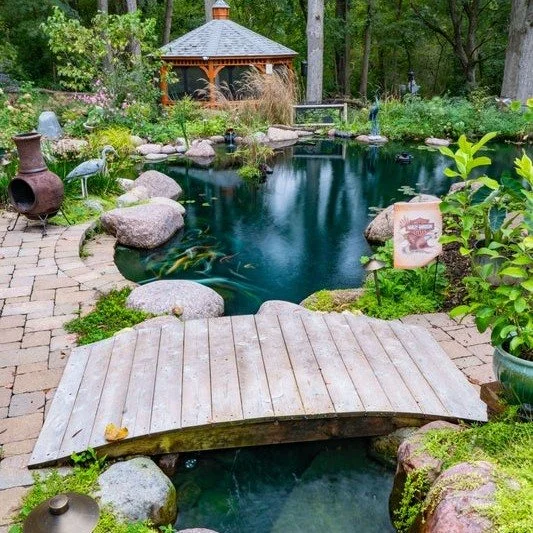 World Environment Day is a good reminder that beauty and function can work together. Did you know that we build koi ponds and swimming ponds that are a full, living, complete ecosystem?

A well-built ecosystem pond is more than just water in the yard