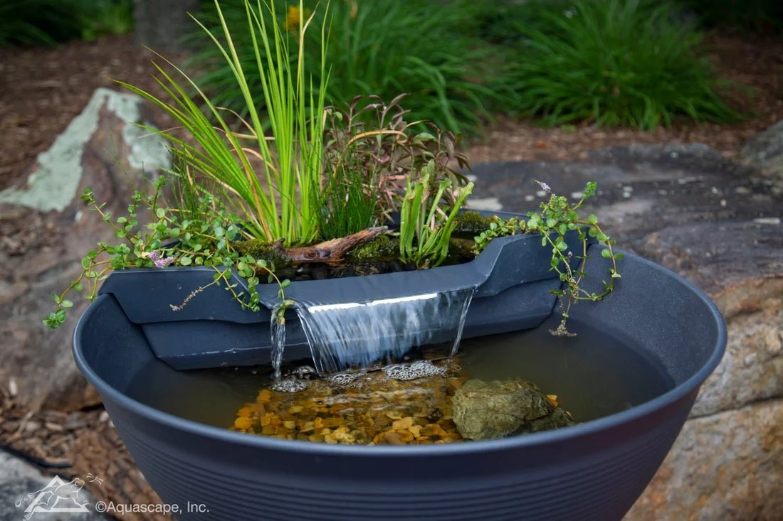A black bowl with a water feature filter on top, filled with water, small rocks, and aquatic plants, with water flowing from the filter into the bowl, set outdoors among rocks and plants.