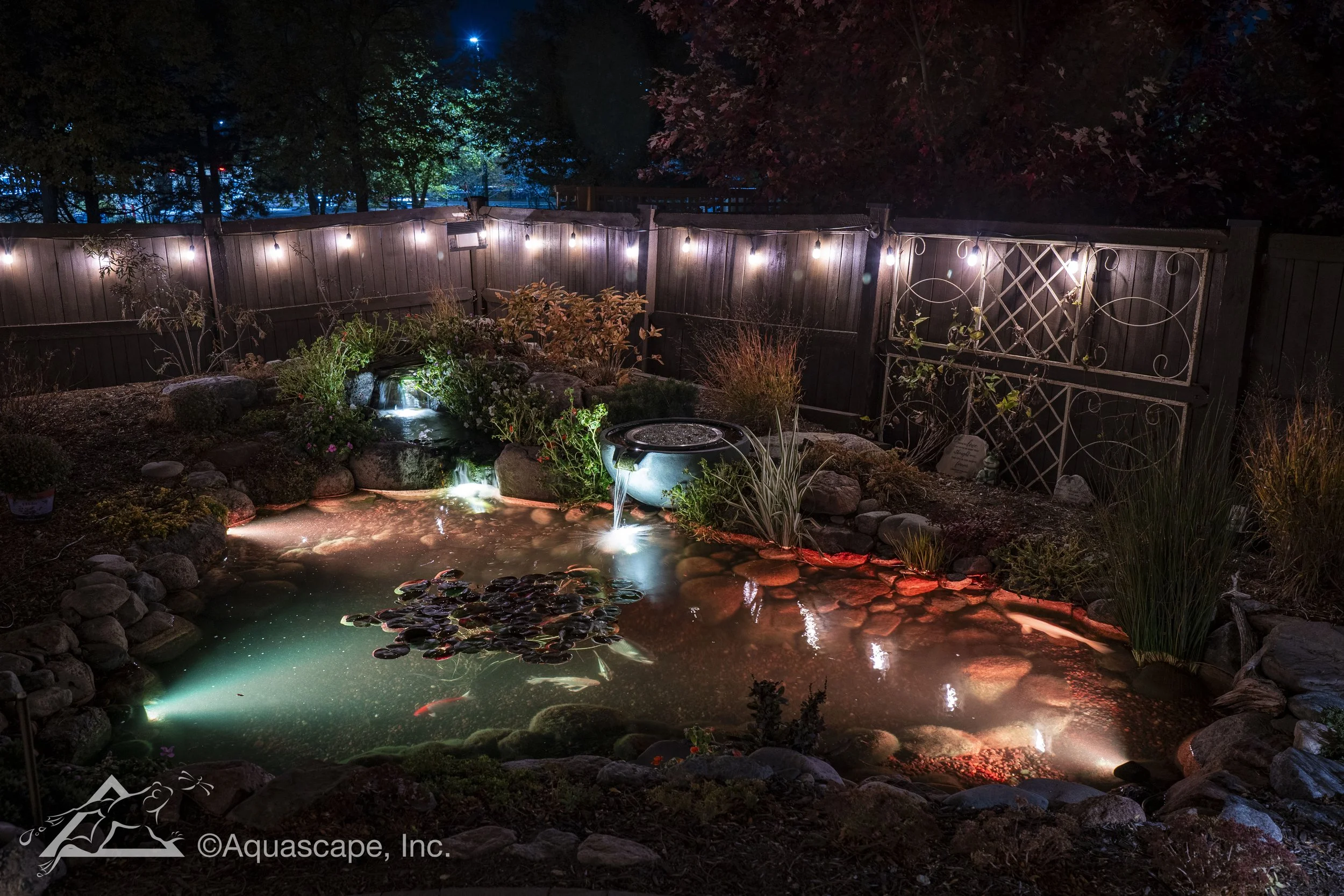 Nighttime garden pond with illuminated water feature, surrounded by rocks and plants, fencing with string lights in the background.