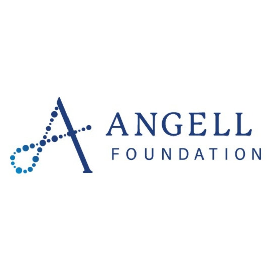 Angell foundation