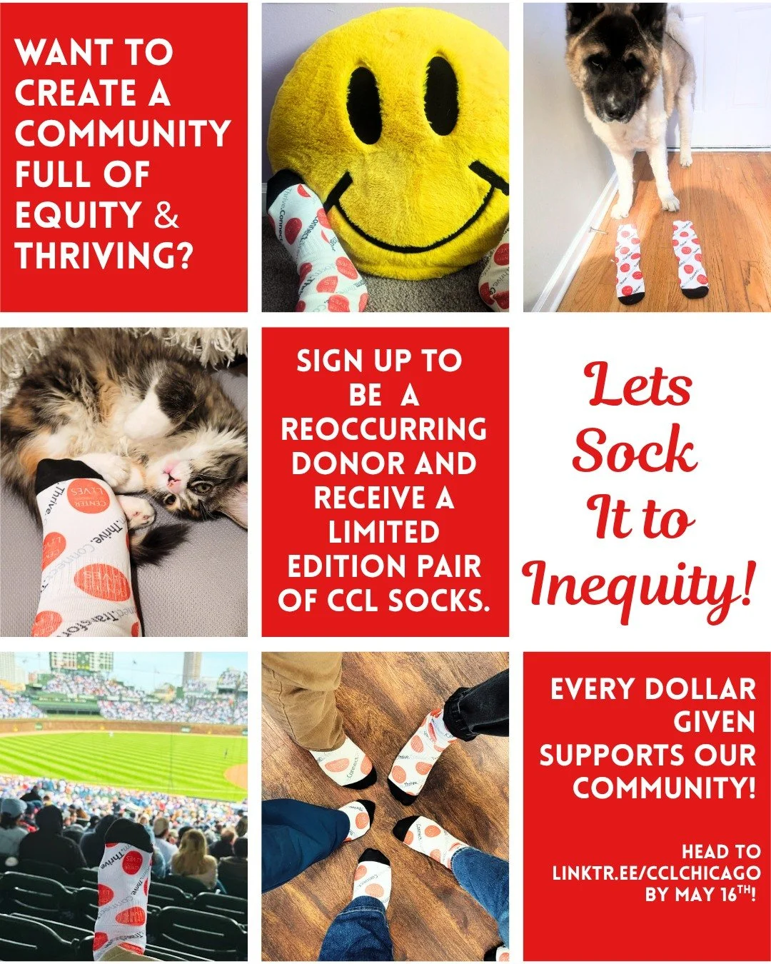 Step up, sock it to inequity, and support lasting change. 
Become a recurring donor and get your limited-edition CCL socks. 
Every step adds up to equity! 
Donate to our CCL Spring Appeal by May 16th at link in bio. 
 #SockItToInequity #StepWithCCL #