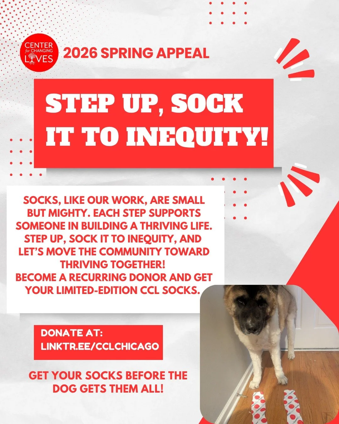 🧦Socks, like our work, are small but mighty.

Every step you take supports someone in building a thriving life. At Center for Changing Lives, that means showing up alongside our community as they reduce debt, secure jobs, grow income, launch busines