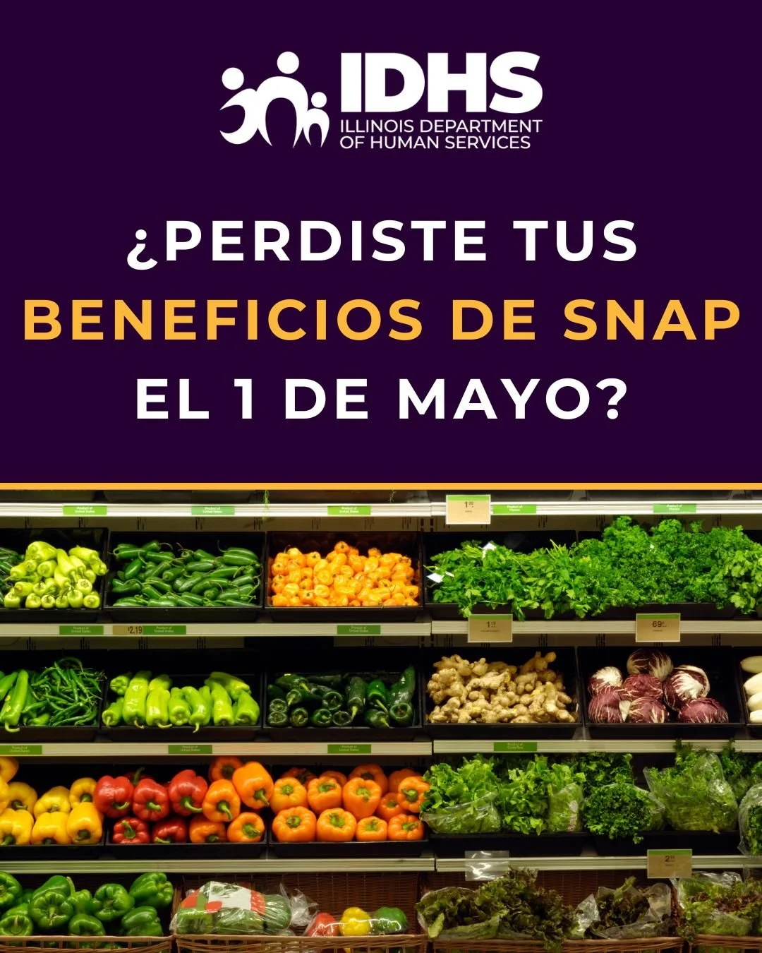 &iquest;Usted, o alguien que conoce, perdi&oacute; sus beneficios de SNAP debido a los nuevos requisitos federales de trabajo para SNAP?
El gobierno federal realiz&oacute; cambios a SNAP y algunos participantes perdieron sus beneficios el 1 de mayo d