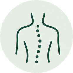 Illustration representing back pain