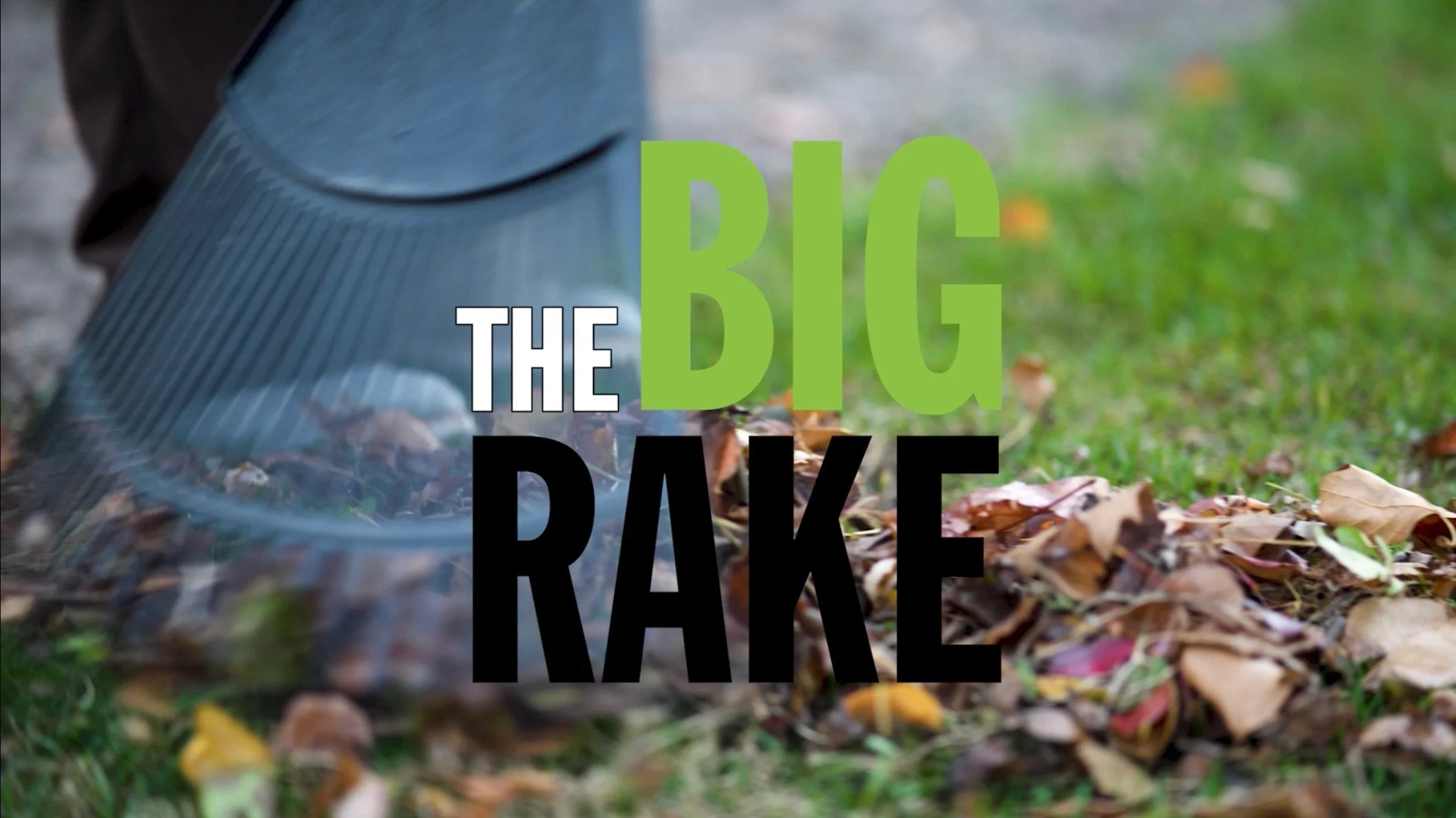 The Big Rake