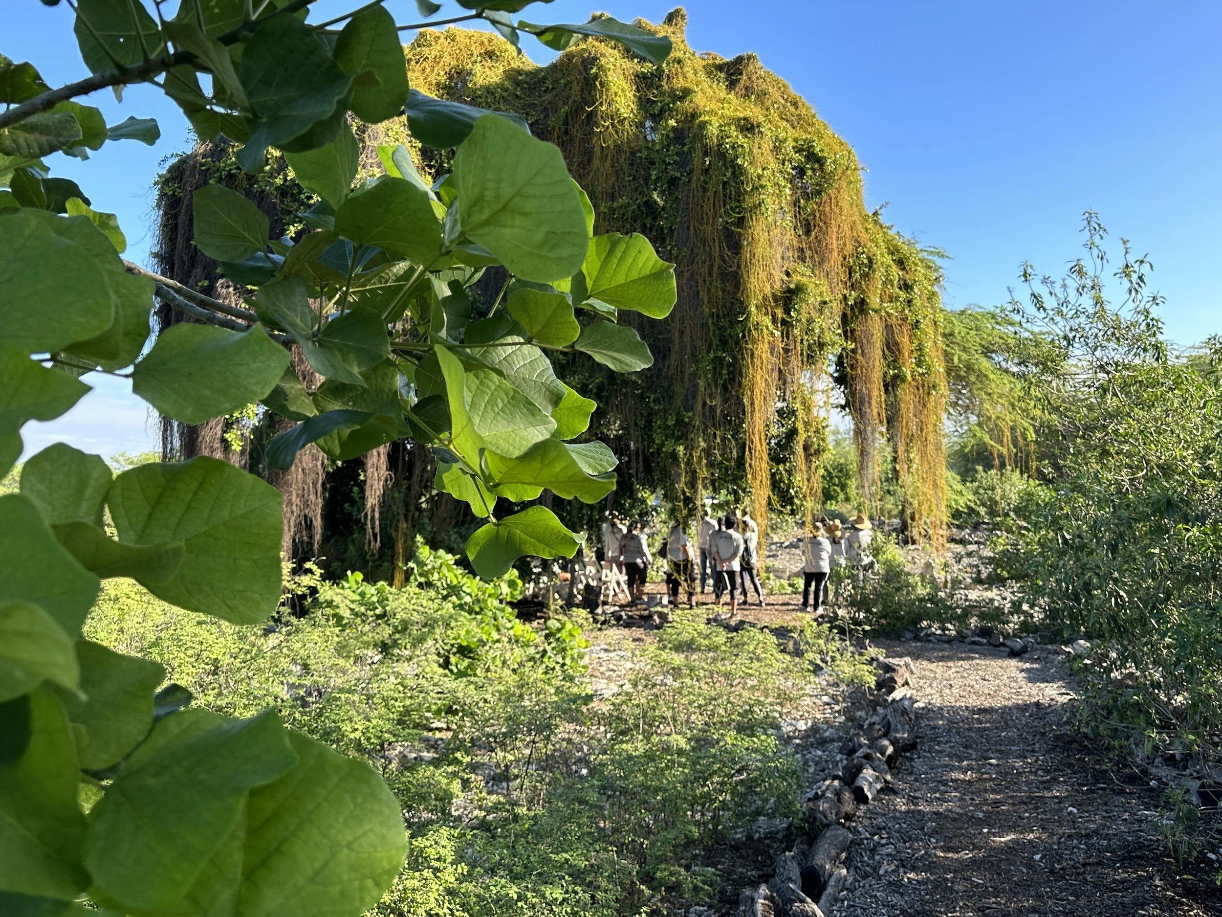 Partners — Kalaeloa Heritage Park