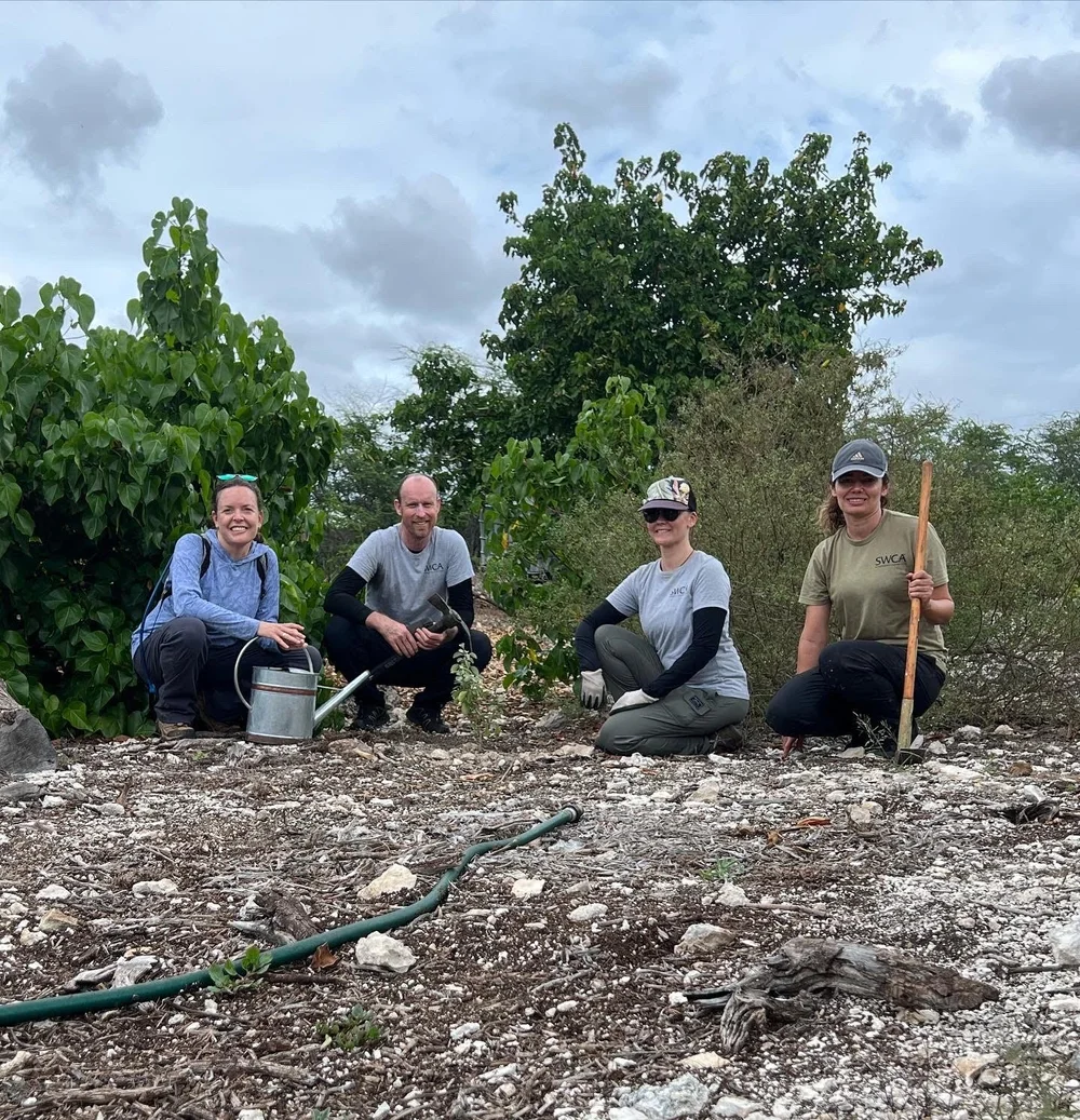 ʻEwa Hinahina outplanting — Kalaeloa Heritage Park