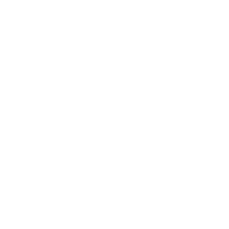 Self respect icon
