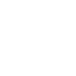 Internal conflict icon