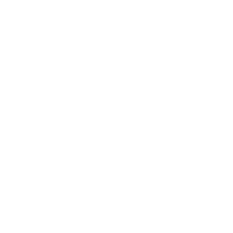 Emotional regulation icon