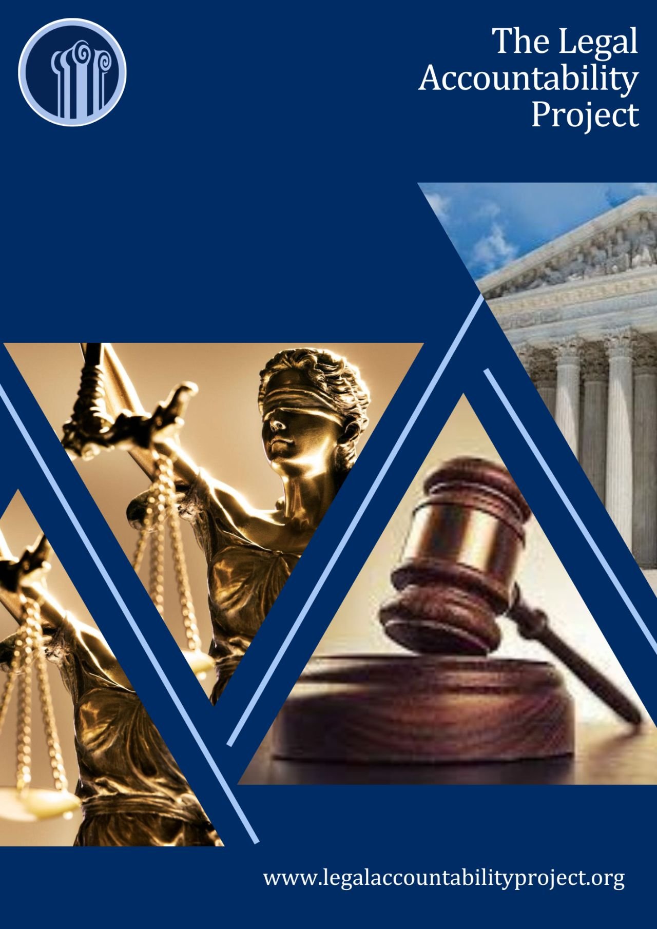 Want to help improve & diversify the clerkship system? Join LAP’s Board of Directors!