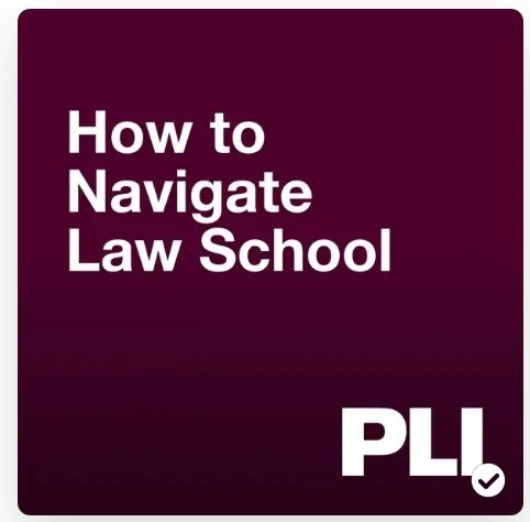 Judicial Clerkships: Insights and Advocacy (Aliza Shatzman)