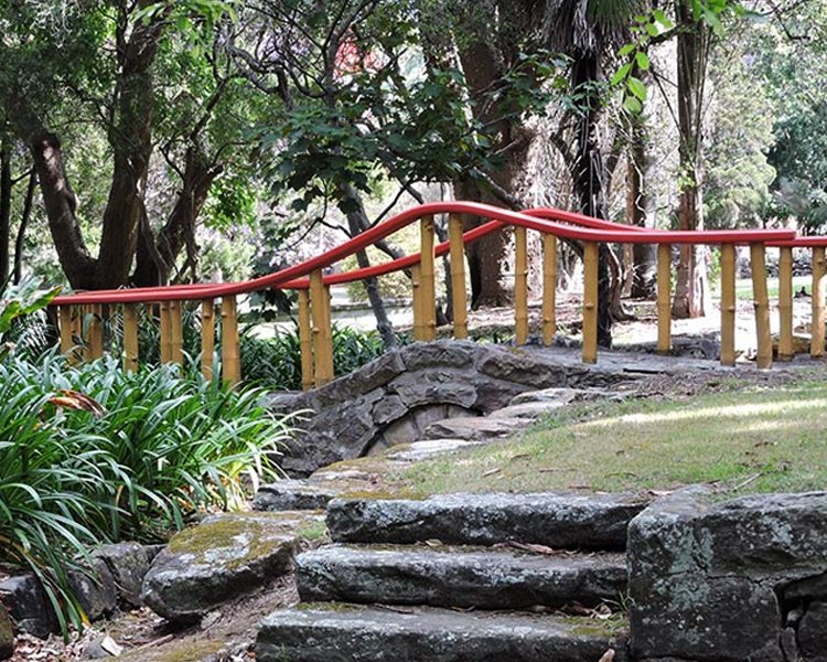 Bamboo walkway in Broughton Hall grounds