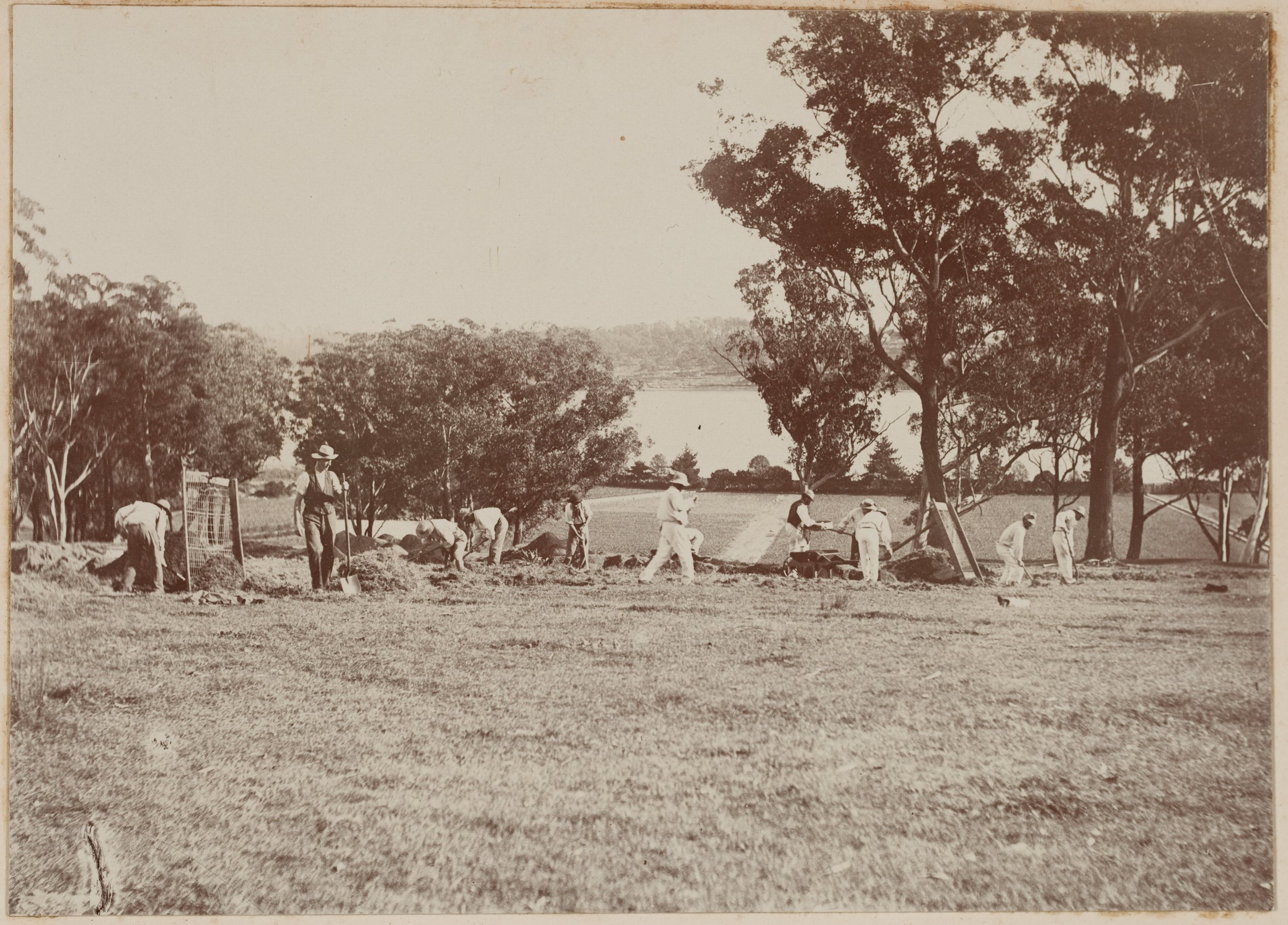 Farming at Callan Park, with Sydney Harbour in the background