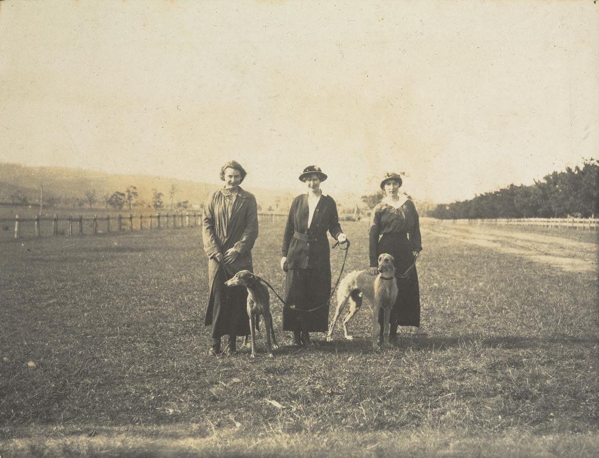 Women Walking 'Kangaroo Dogs'