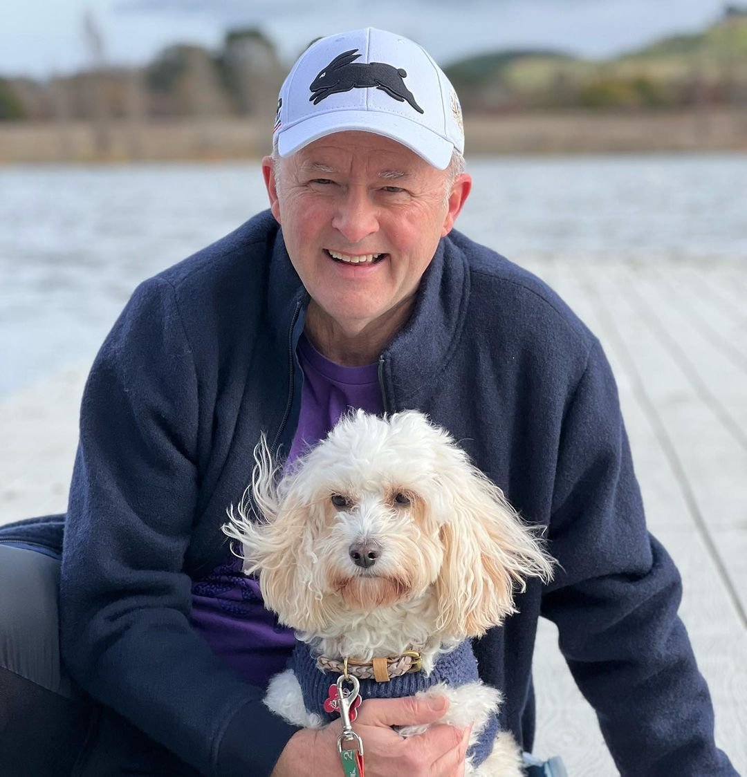 'A very chilly Sunday morning walk around the lake in Canberra 🐶🥶'