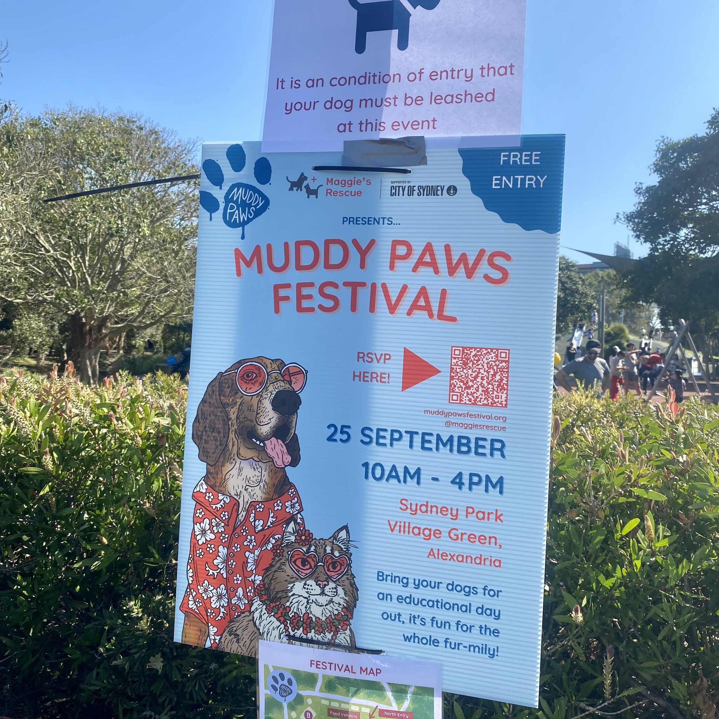 MuddyPaws-6.jpg