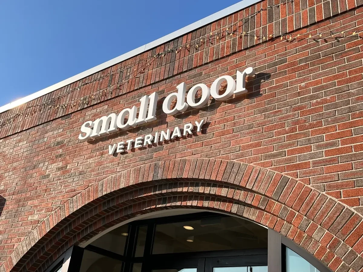 Small Door Veterinary Raises $55 Million to Scale Proven Membership-Based Model