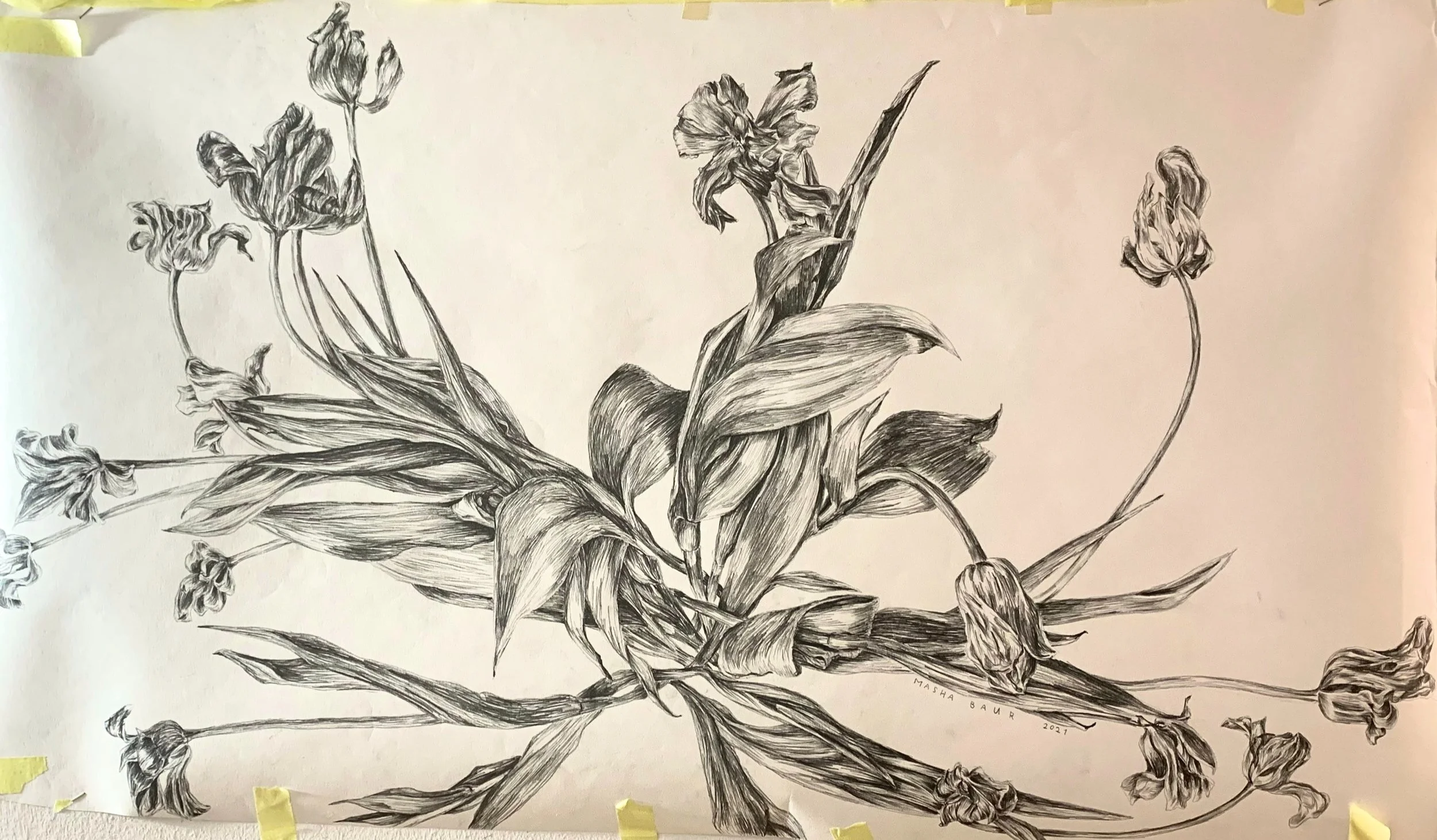 Tulips, pencil on paper, 100x59 cm, 2021