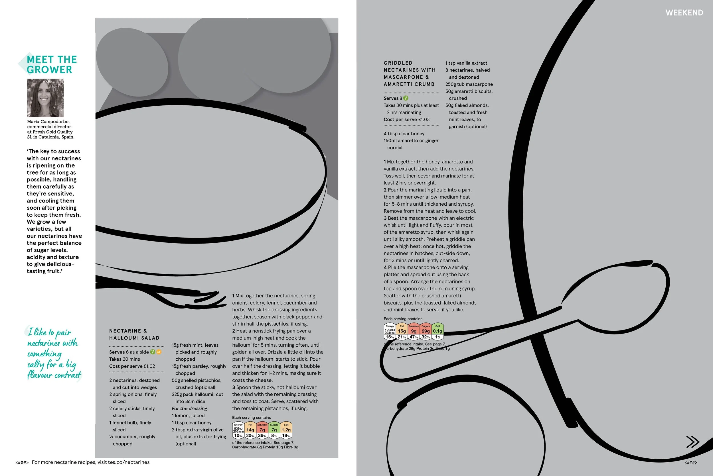 Field to fork_scamps2.jpg