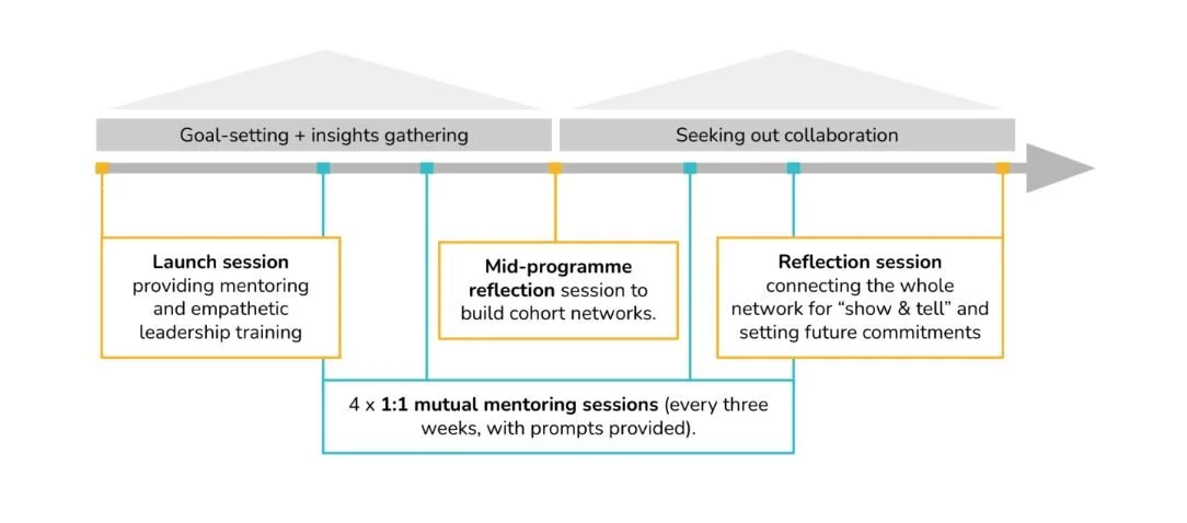 Mutual mentoring for policymakers: lessons learned — Telescope ...