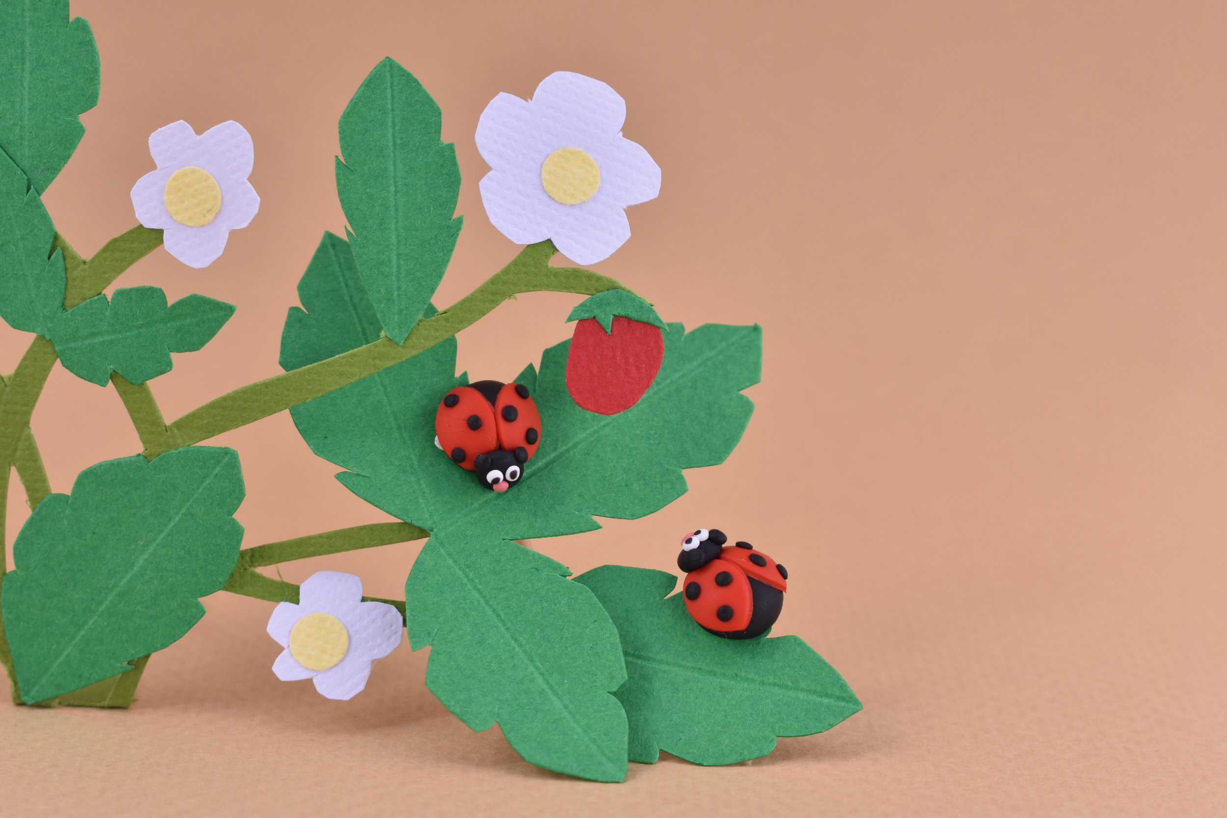 Ladybug earrings caring for their favorite strawberry plant.