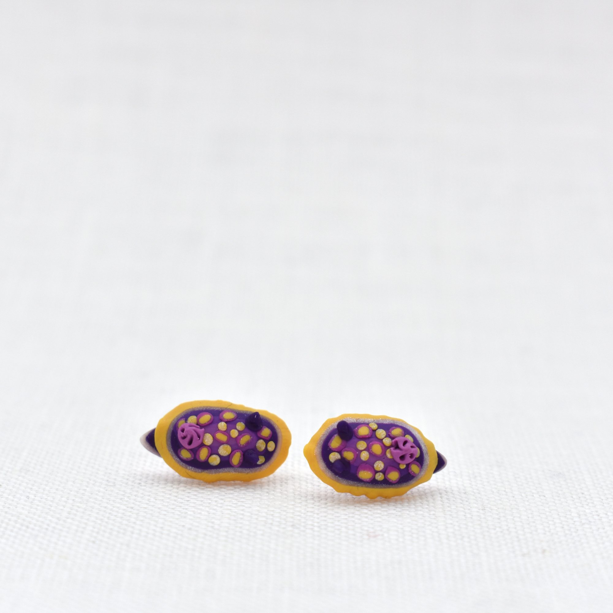 Felimidia_luteorosa_earrings_1.jpg