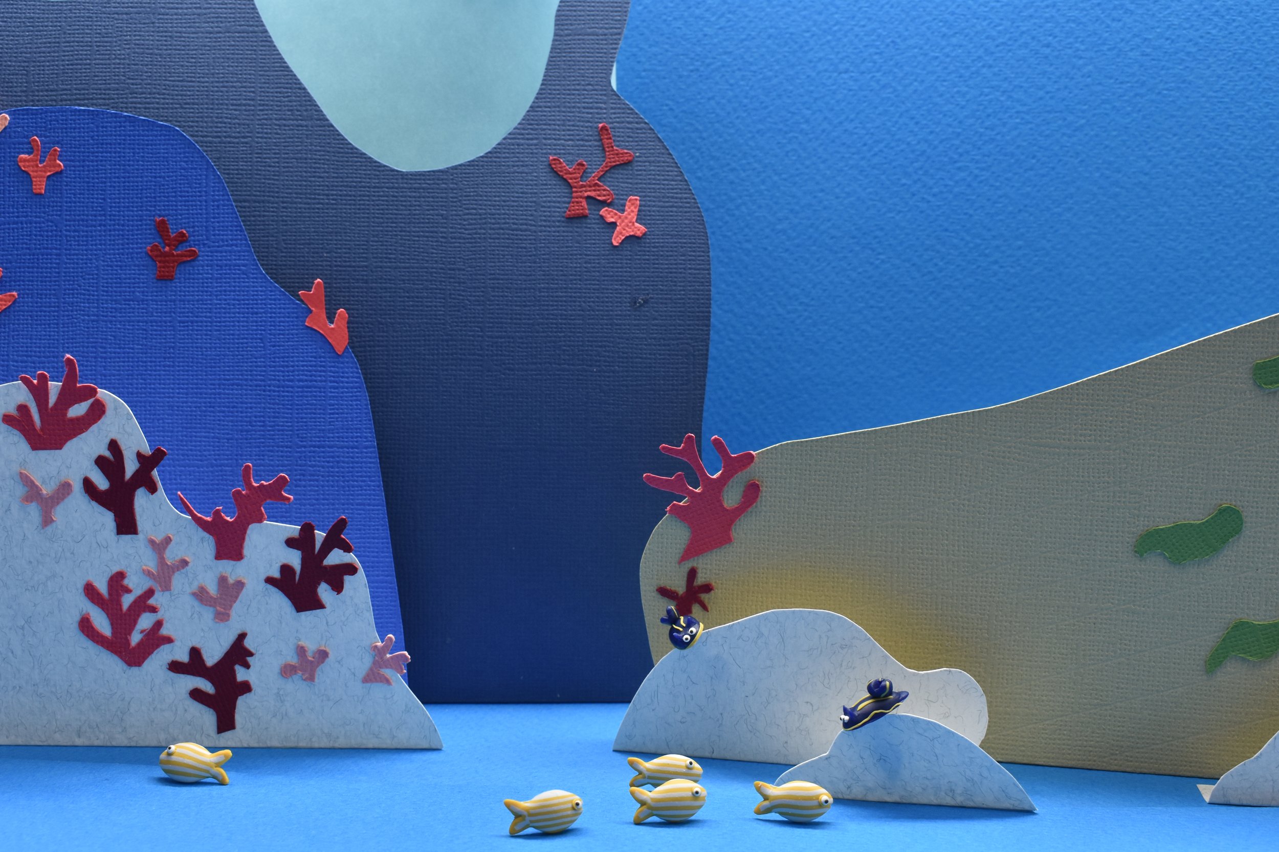 Goldline and Azorica nudibranch dwell on the sea bed.