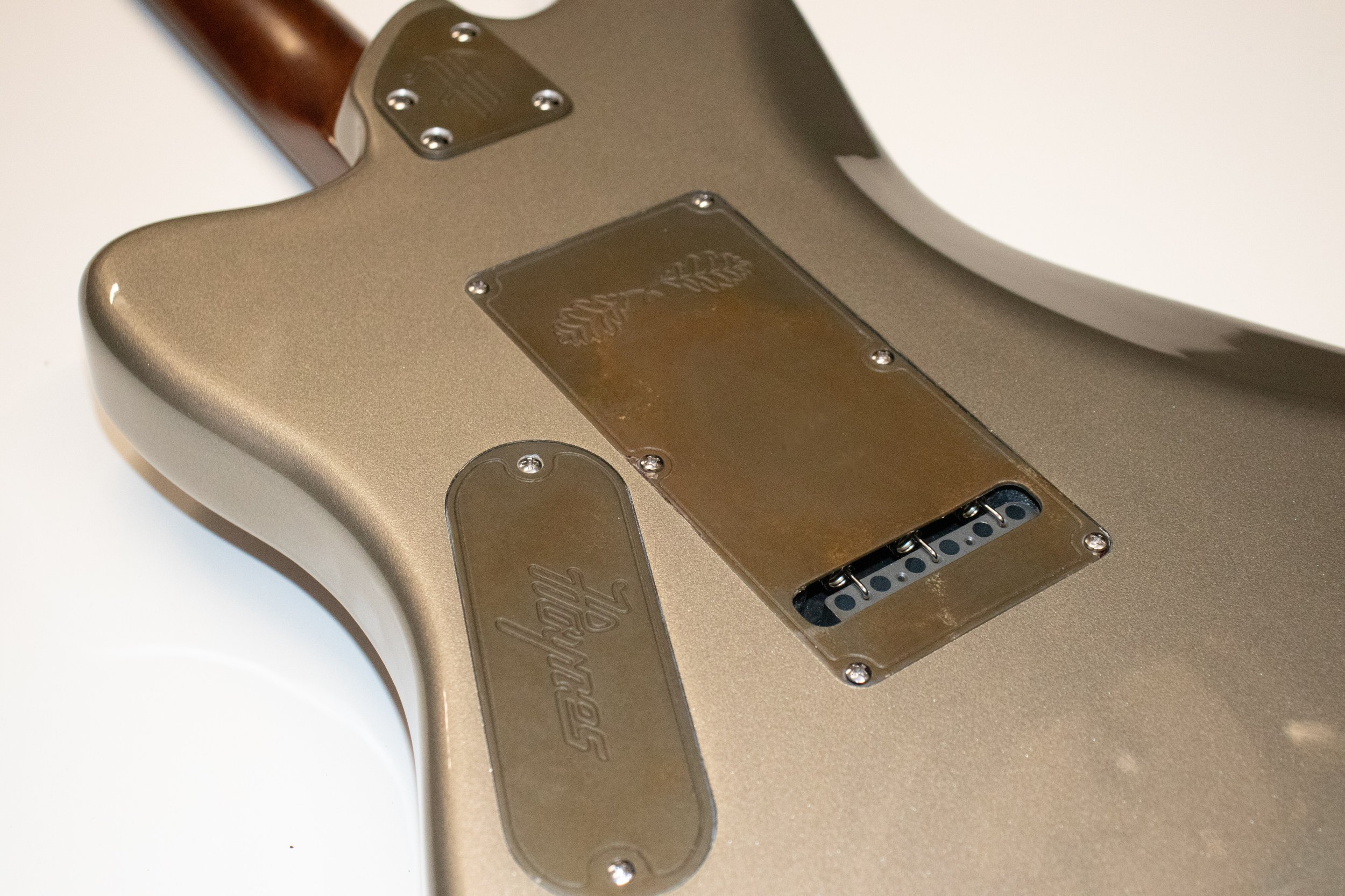 Silver Dem beauty back guards.jpeg