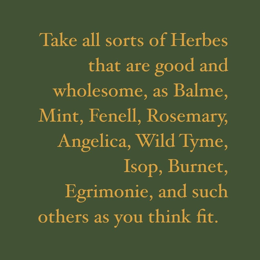 The beginning of a Welsh recipe for a 17th century flavoured mead, called 'metheglin', or meodyglyn in Welsh, as described by folk historian Marie Trevelyan in 1893. 

The recipe is long and complex, involving boiling down the herbs, straining the Li