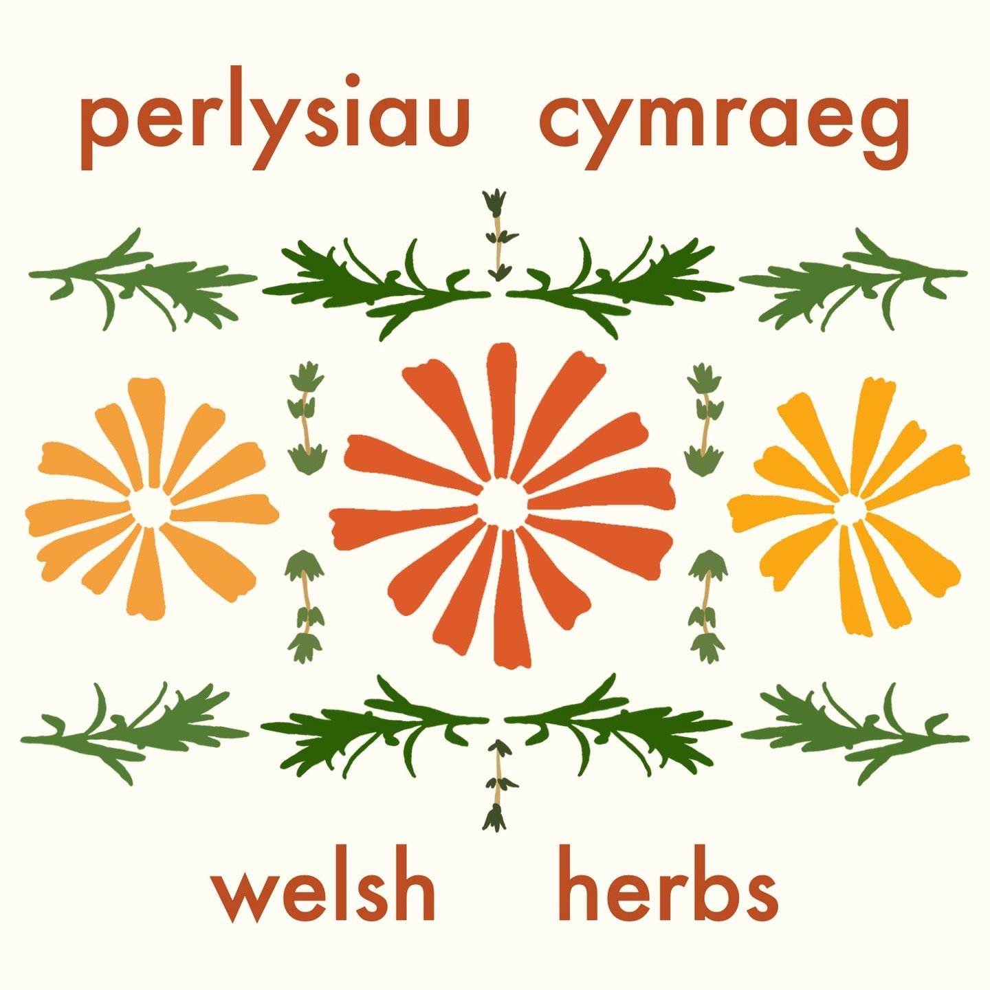 Here's some bits from an illustrated series I'm working on all about Welsh herbs - perlysiau Cymraeg - featuring Welsh plant names, folklore and medicinal history from the Physicians of Myddfai. 

#welshplants #perlysiaucymraeg #perlysiau #welshherbs