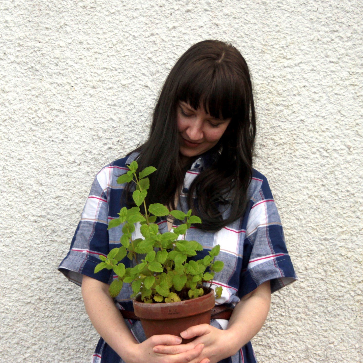 Oh hi, here's me with my friend Mel. Lemon balm- Melissa officinalis - is one of my fave herbs (although I say that about most of them!) She's a brilliant pal to have in the garden as she cheers you up (leaves have anti-depressant properties), soothe