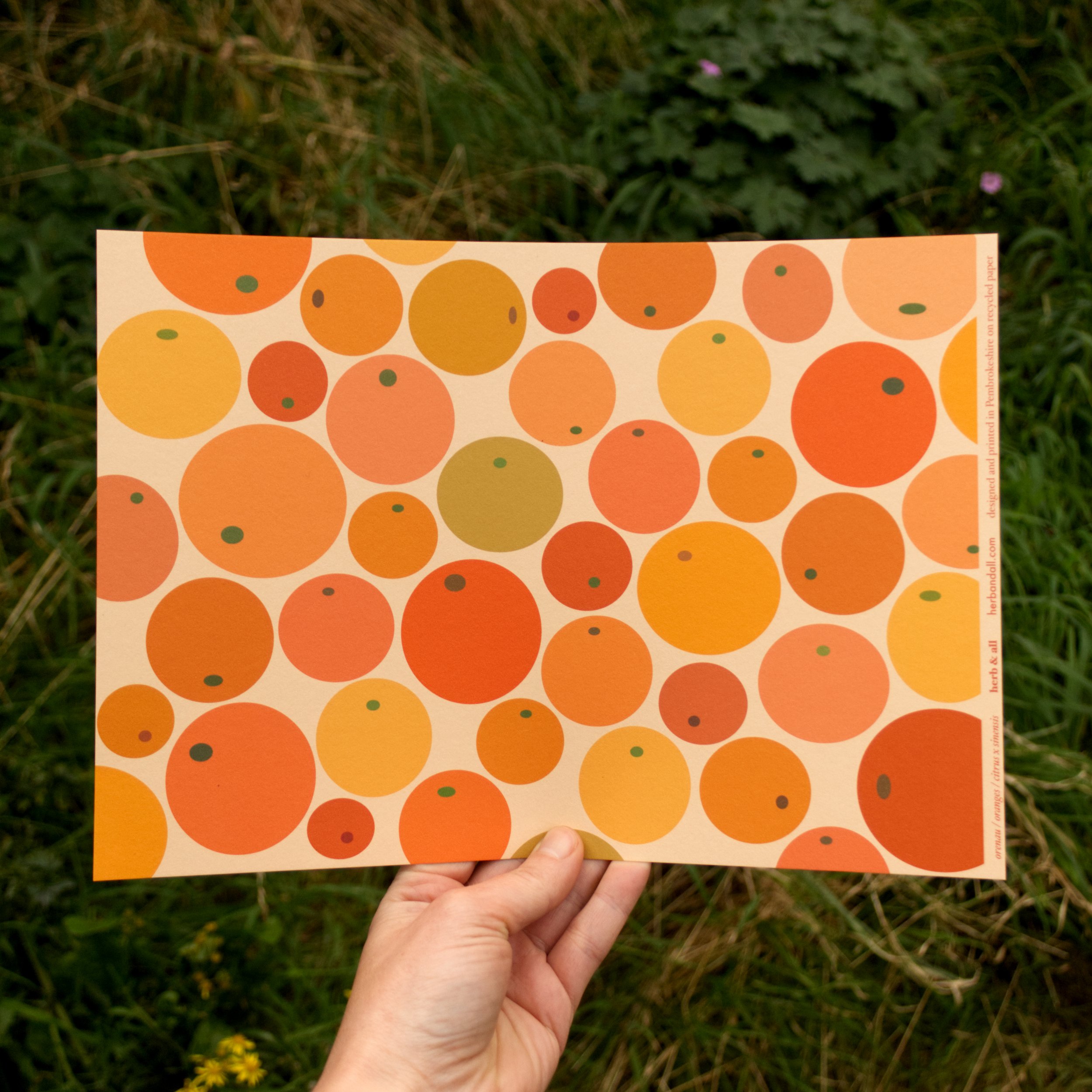 oranges paper main.jpg