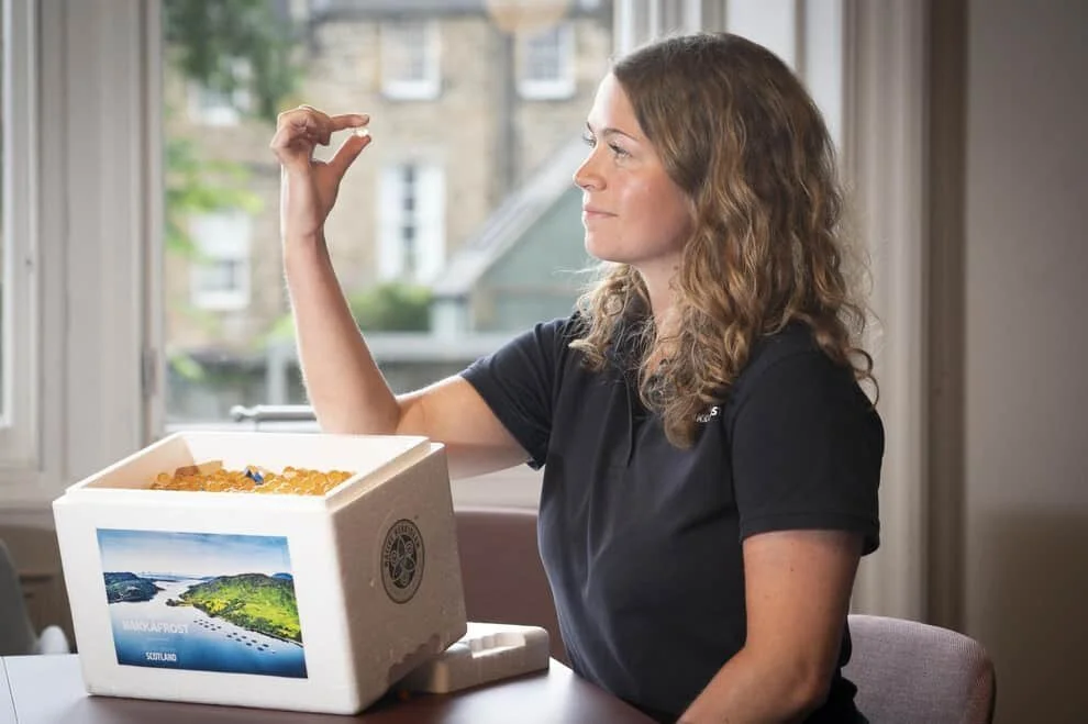 Scottish food and drink firms urged to look to the future with STEM ambassadors