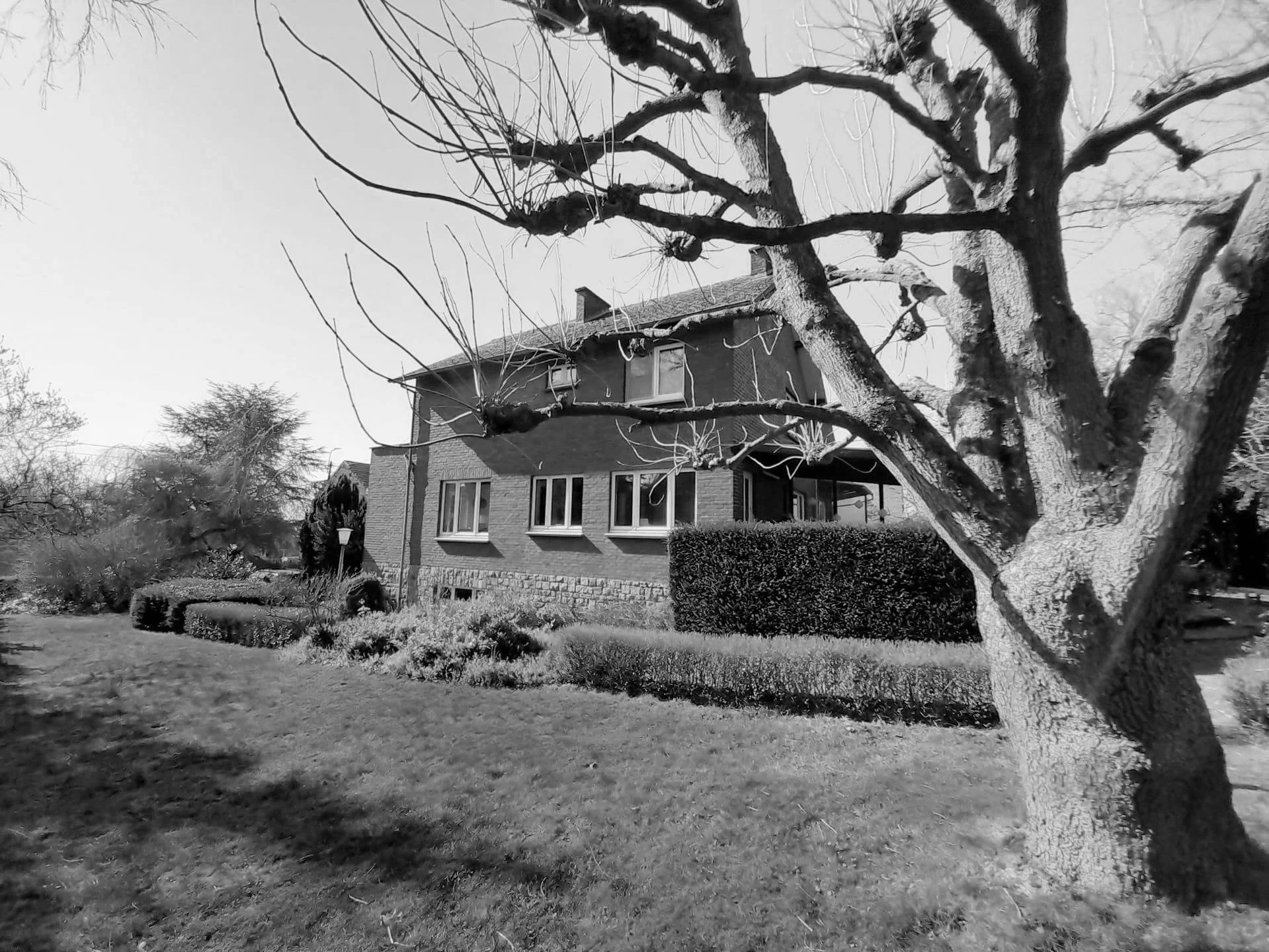 WhatsApp Image 2022-07-01 at 10.21.35 (1).jpg