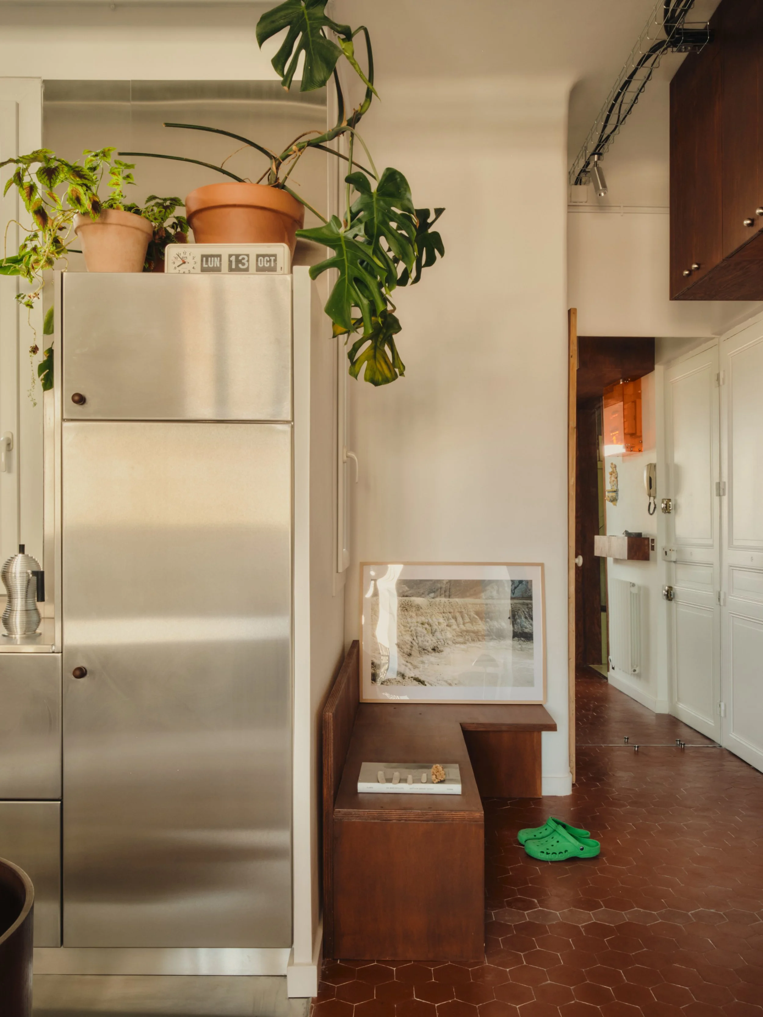 Intérieur d'une maison avec plantes en pots sur un meuble en métal, une paire de sandales vertes sur le sol, et un tableau posé contre le mur près d'une pièce.