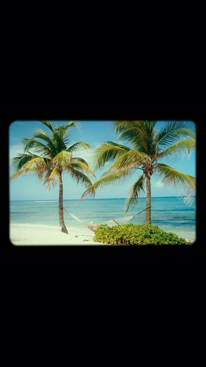 my time in the cayman islands
#video #cinema #videography #cinematography #reels #sony #sonya7sⅲ #davinciresolve #color #kodak