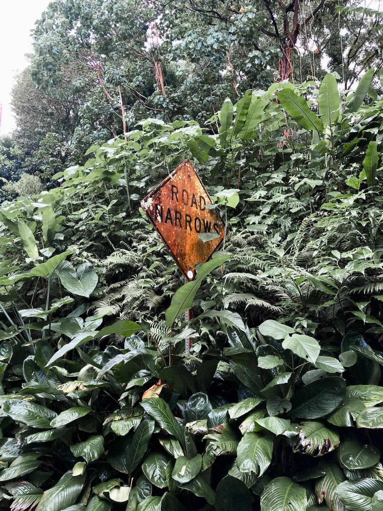 Manoa- Hawai'i Road Sign