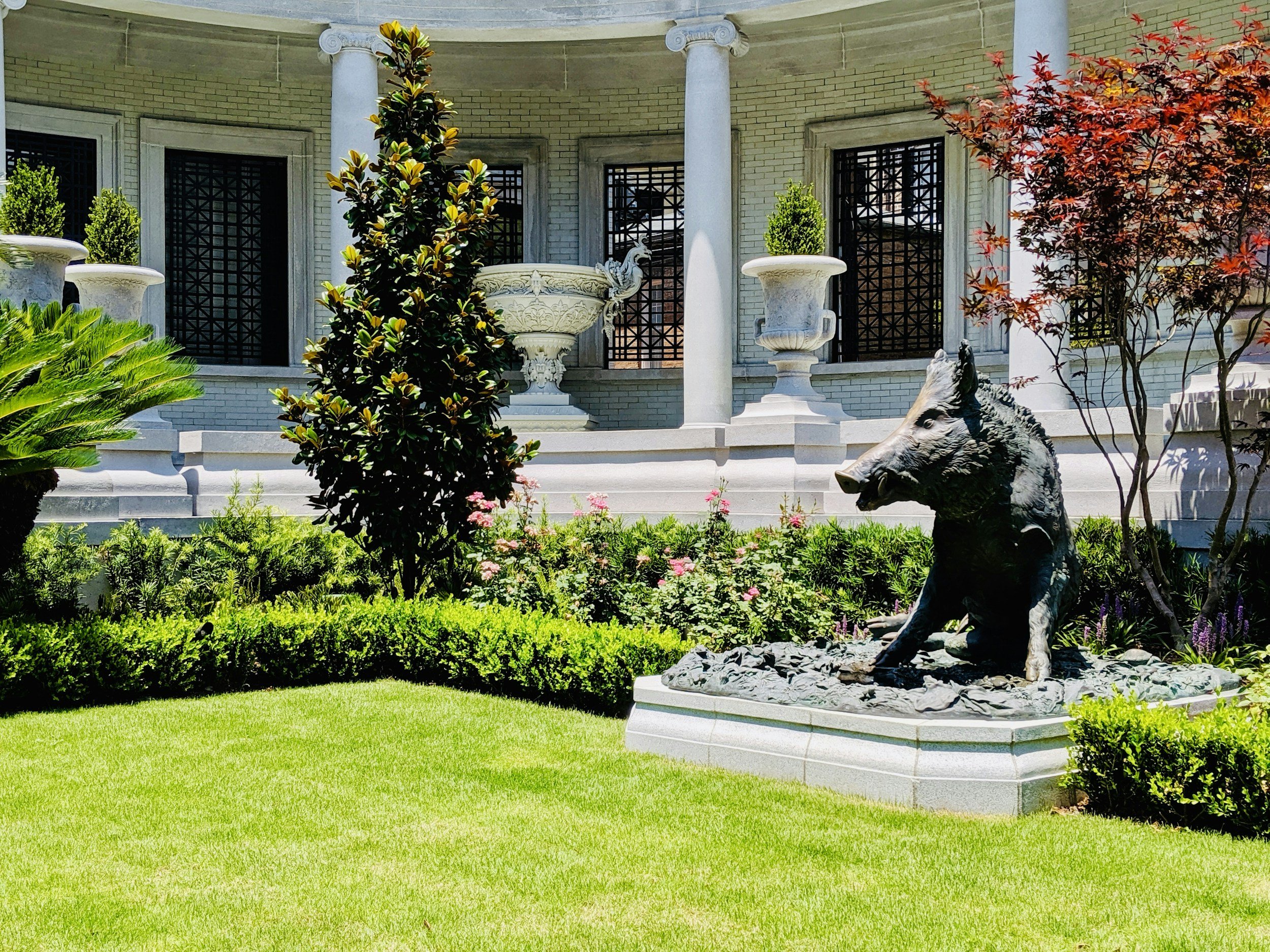 A lush green garden with a bronze boar statue in front of a white building with columns and large planters.
