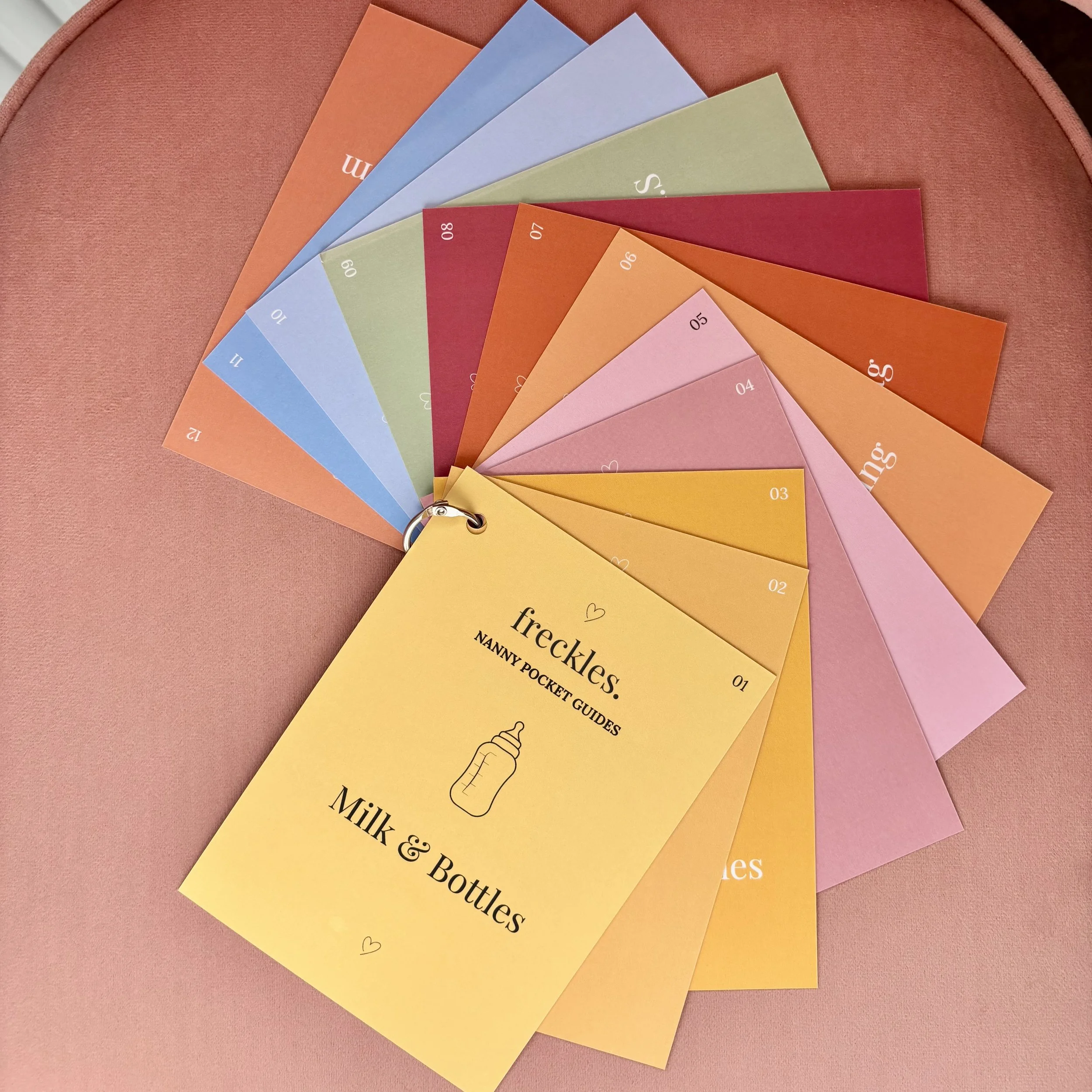 Nanny Pocket Guide - fan.jpg